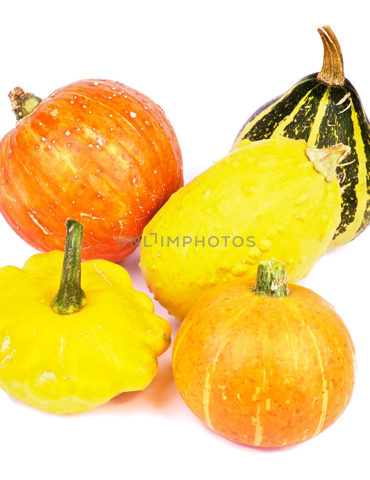 Heap of Yellow and Orange Miniature Squash and Pumpkins closeup on white background
