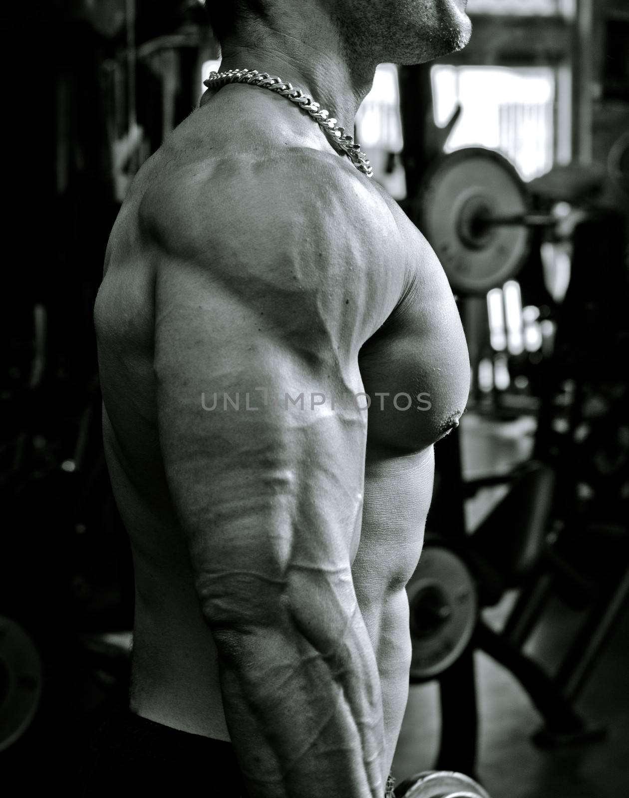 Man working out at the gym, side view of chest, pecs and arm