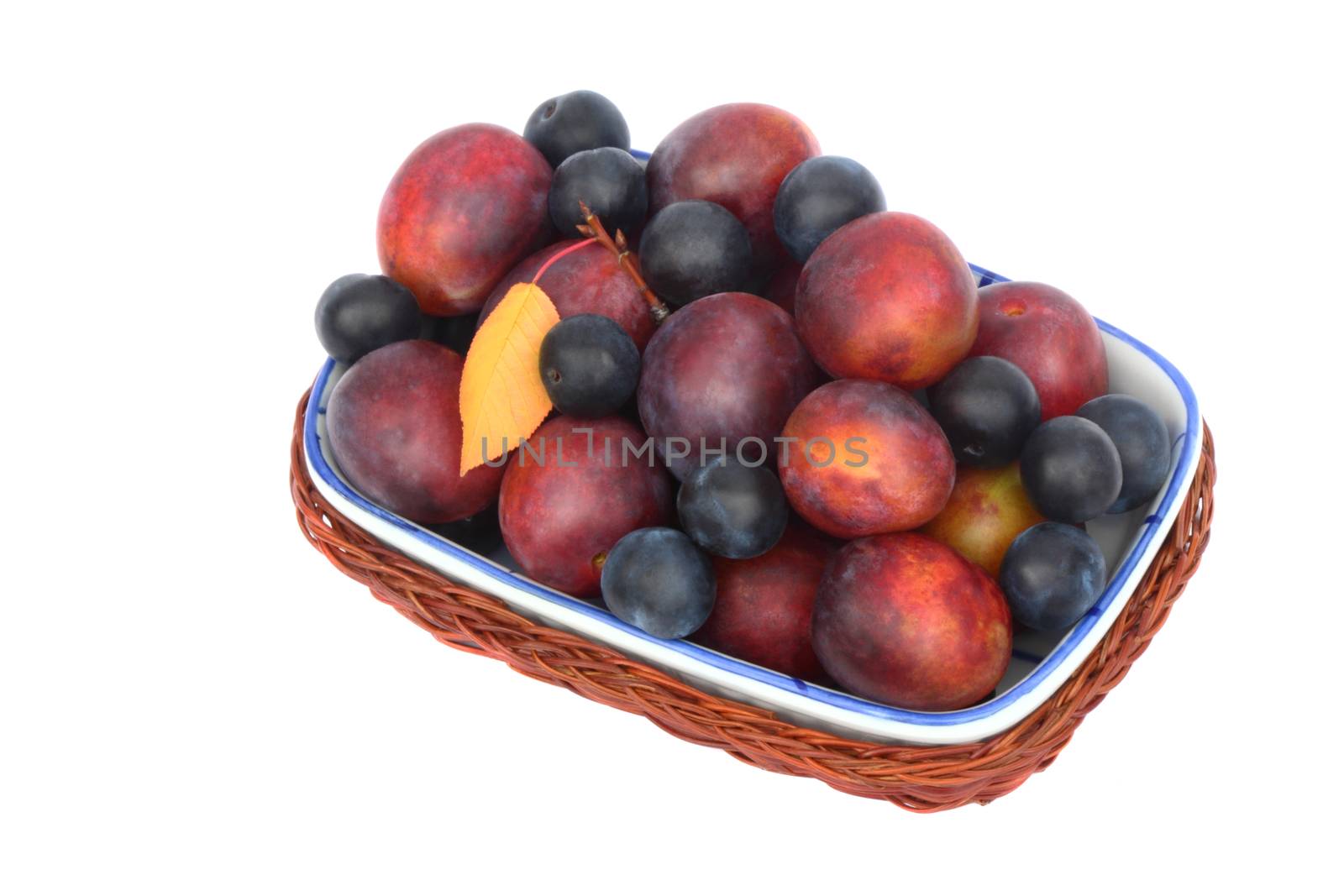 Wicker basket placed in her large ripe plums and prunes