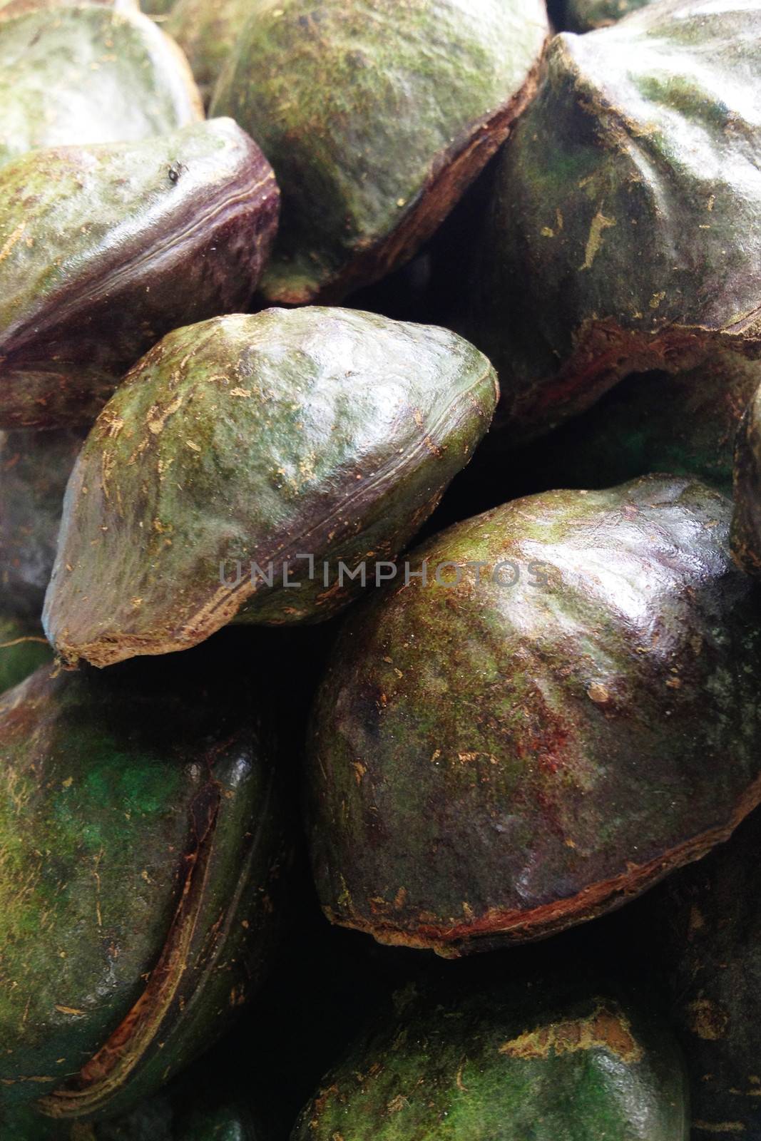 uk nieng, Djenkol bean fruit Photo captured with an iPhone