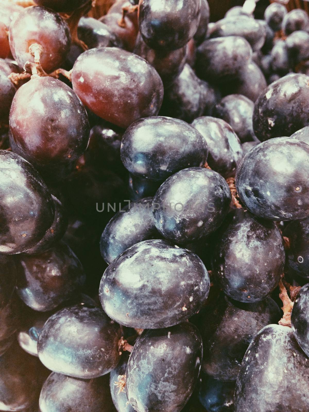 Grapes Closeup