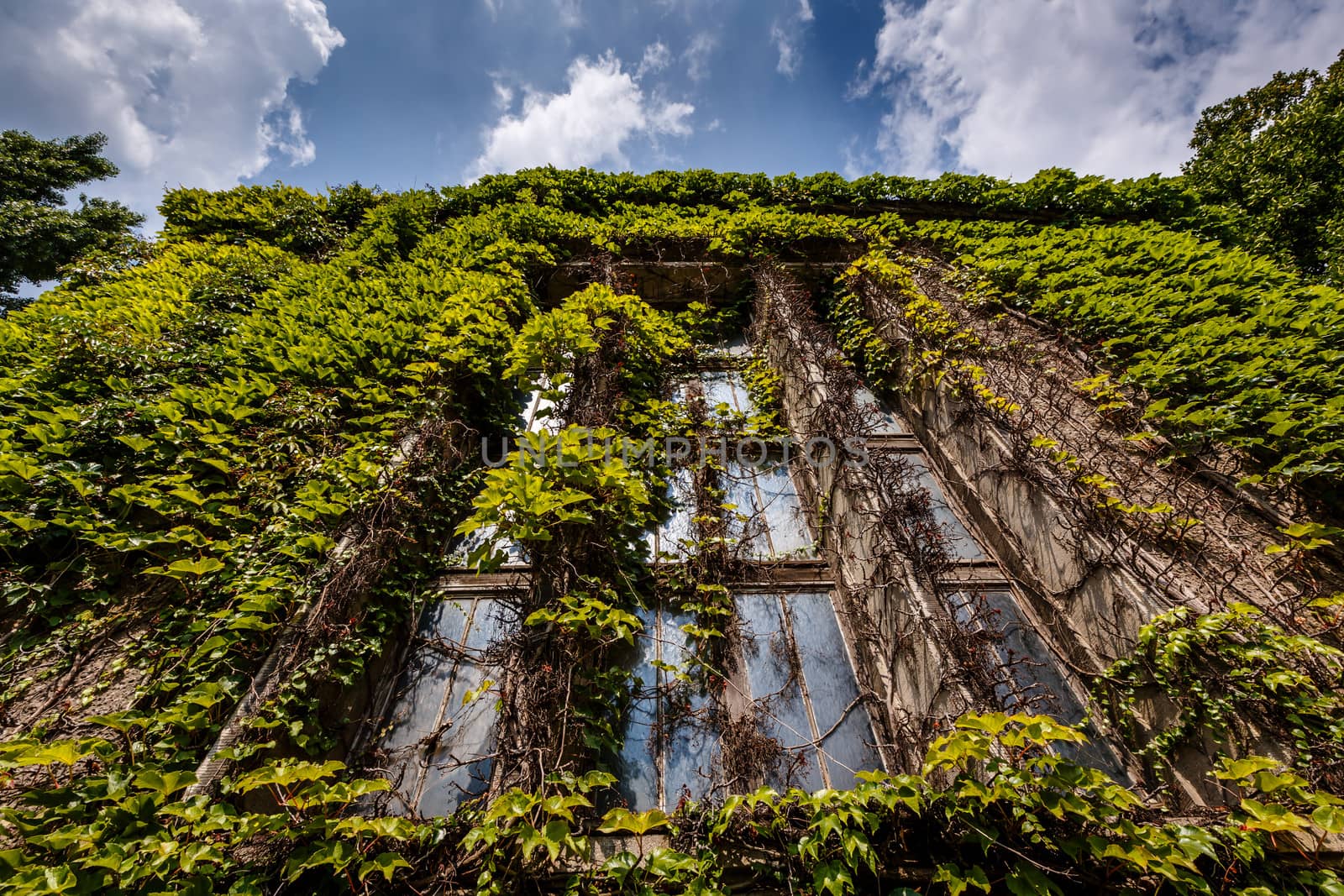 House with Grape Vines on River Spree Embankment, Berlin, Germany