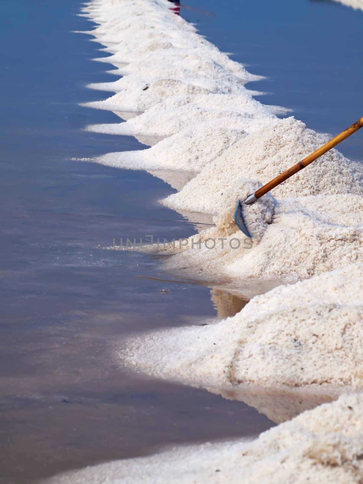 Salt field by Exsodus
