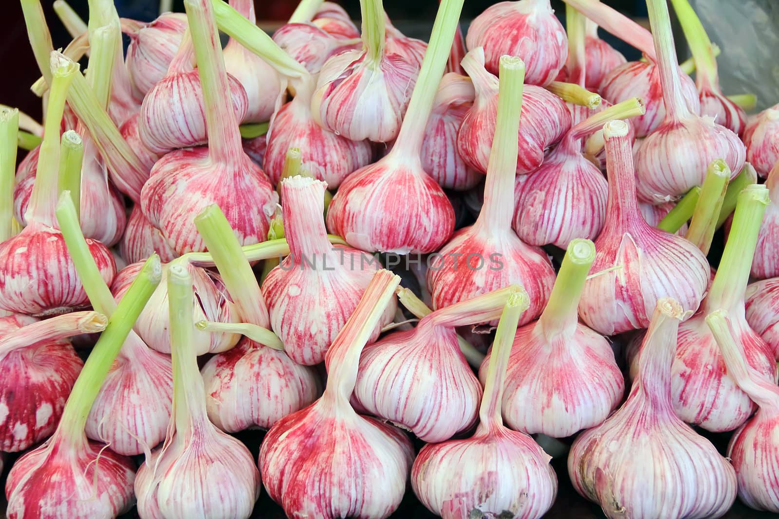 Image of background with fresh vegetables, garlic 