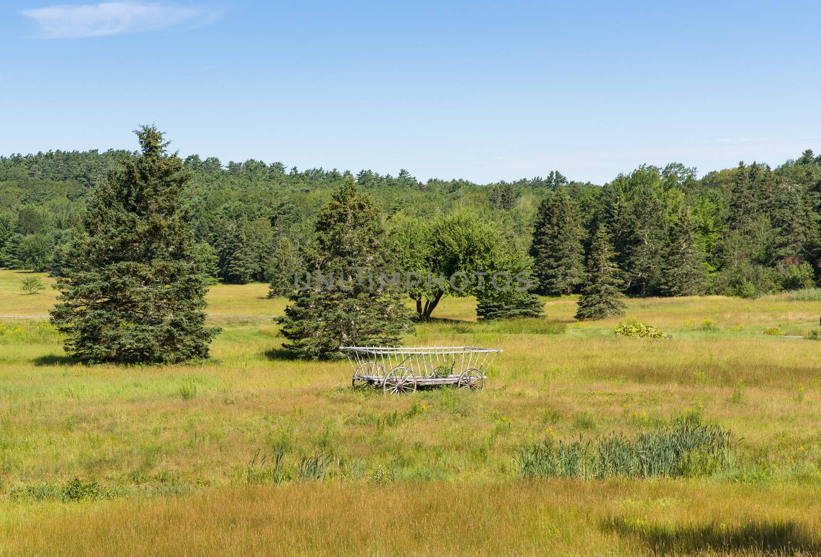 This image of a lush field and a hay wagon shows that Mount Desert Island in Maine is not all mountains.
