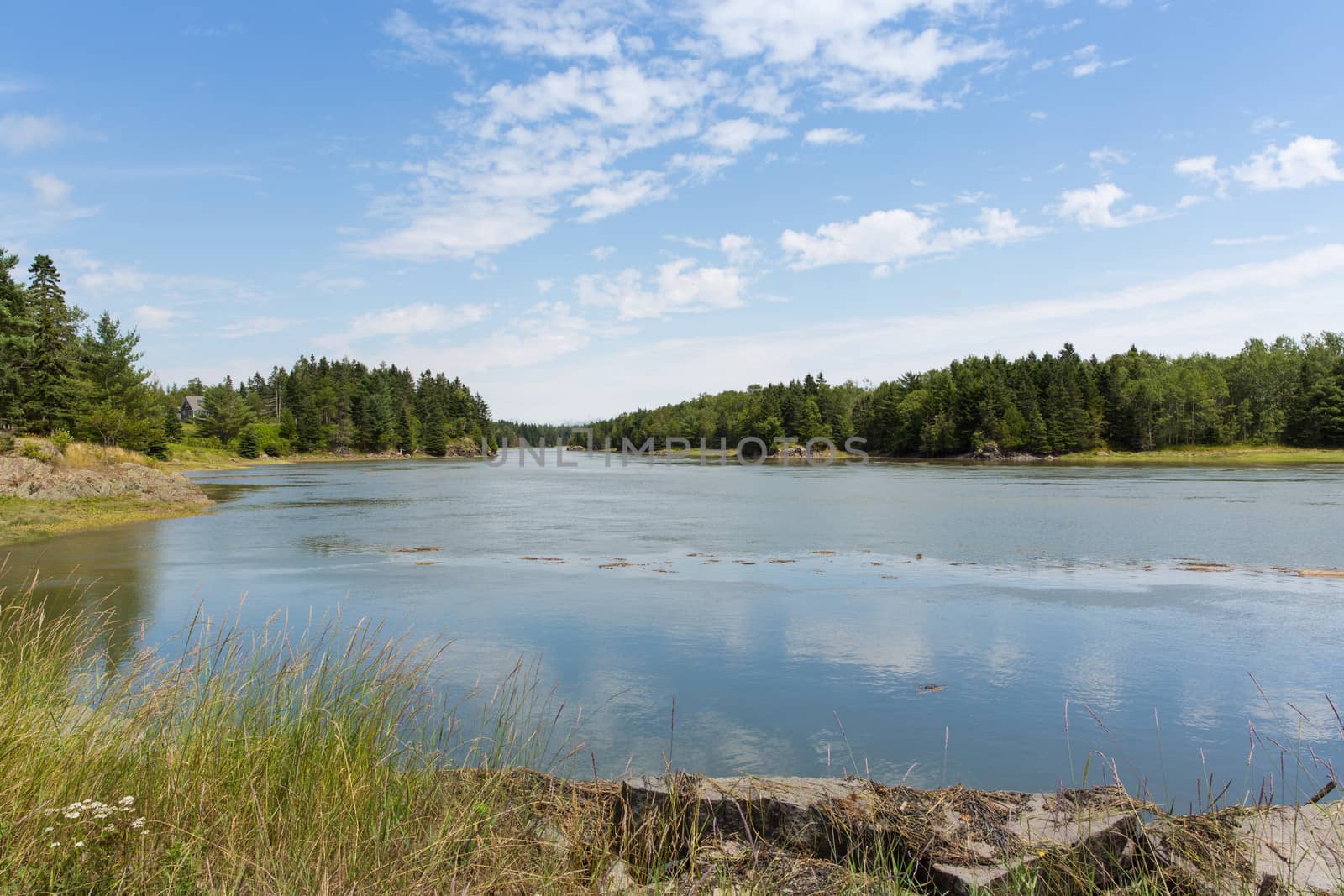 Lush green grass and trees, peaceful and serene waterways, and beautiful sky makes Maine a wonderful vacation destination.