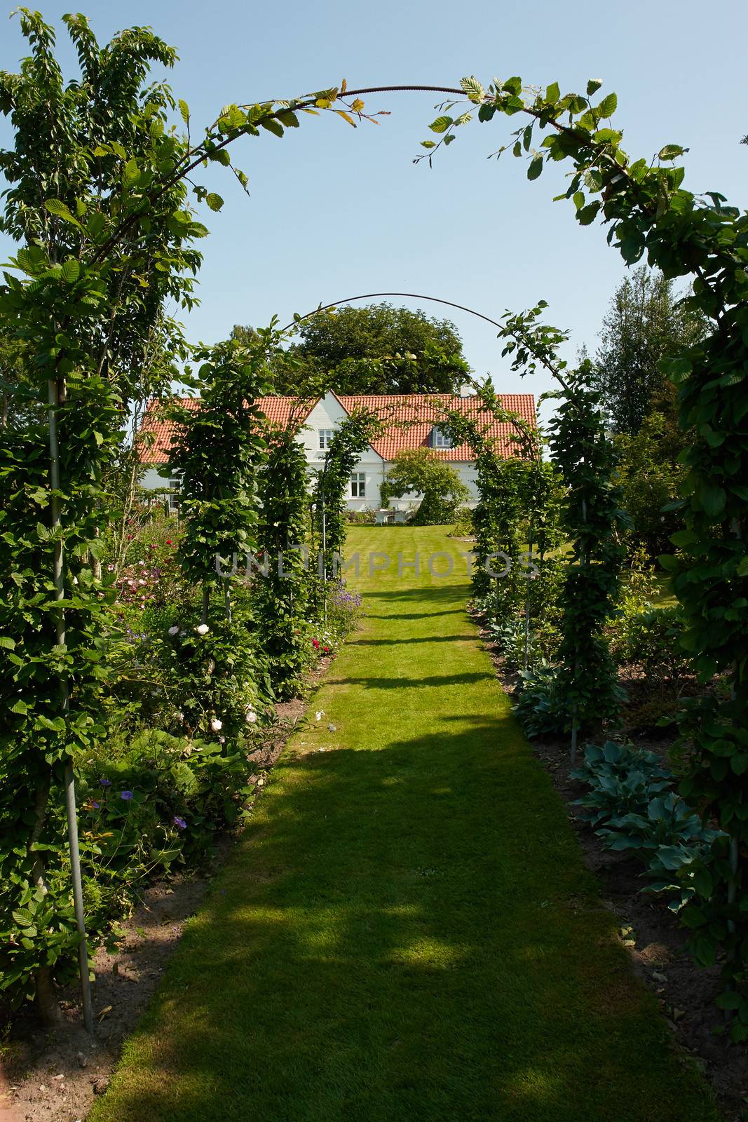 Garden tunnel archway in a classical garden by Ronyzmbow