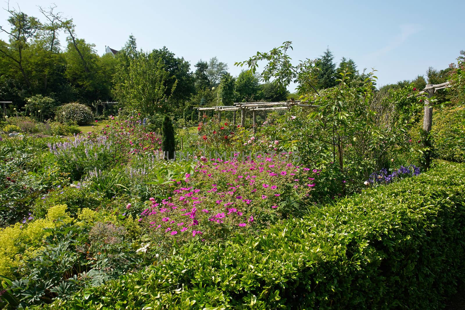 Attractive beautiful English style formal garden classical creative gardening
