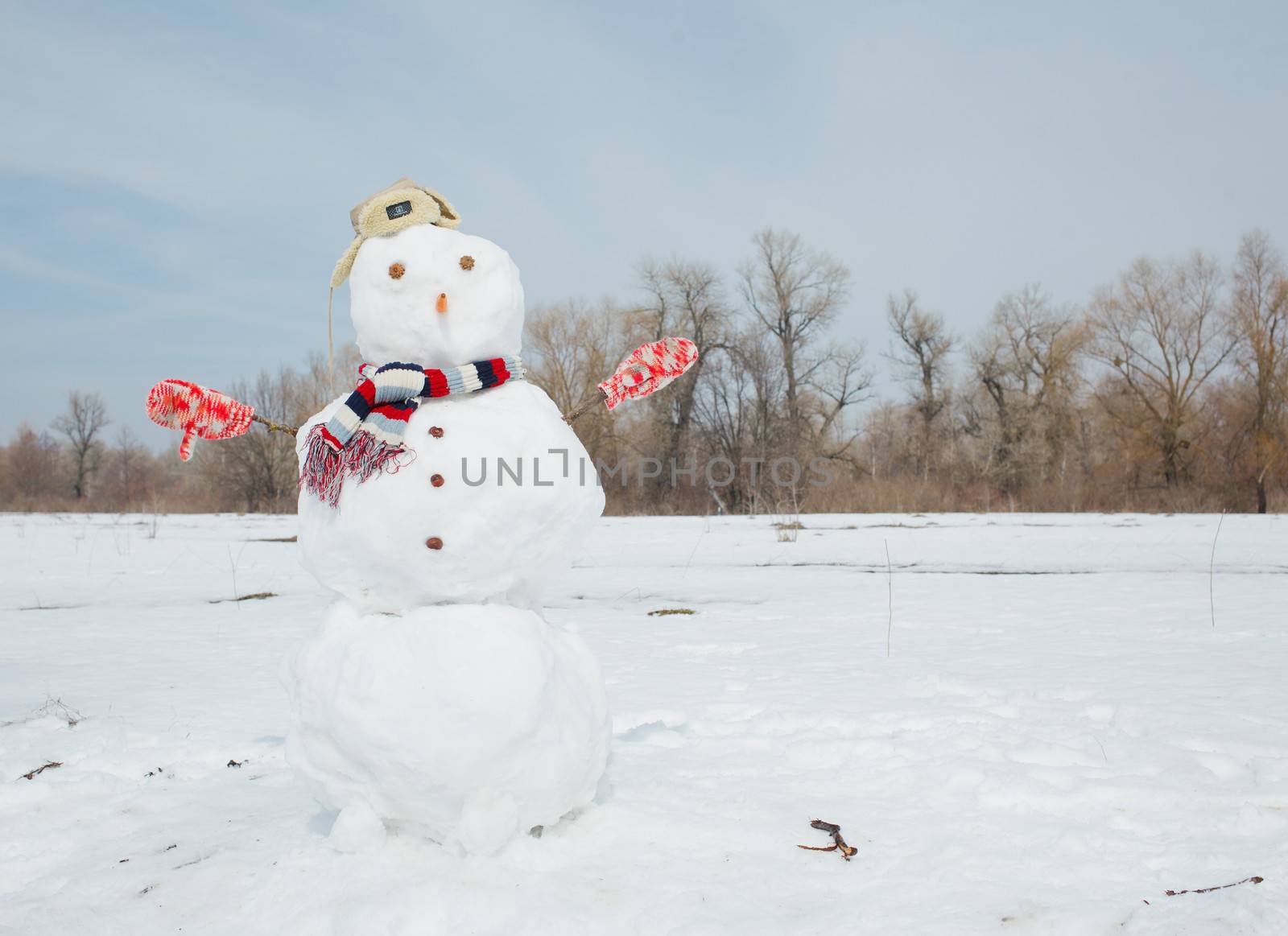 Real big amusing snowman with top hat and carrot nose on a beautiful and cold winter morning.