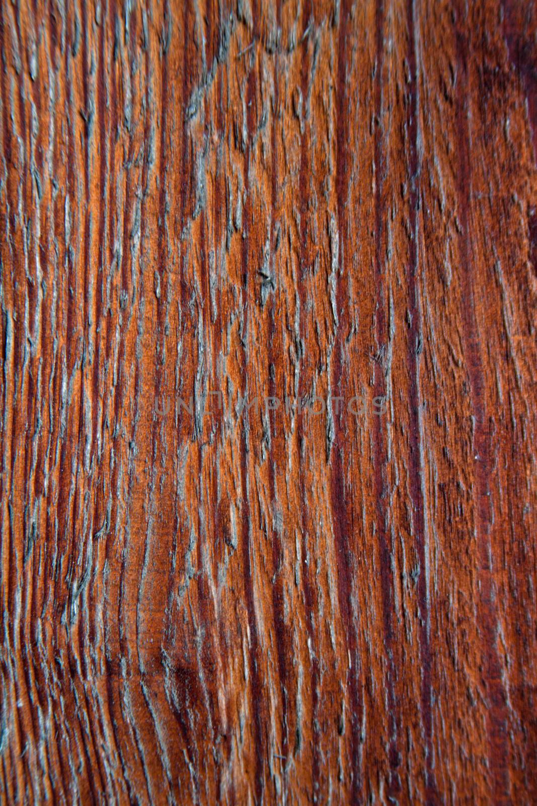 old wooden texture by marylooo