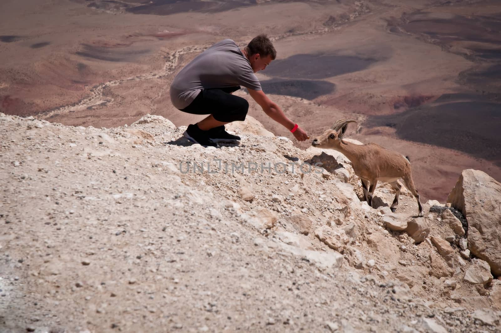 Mountain goat and teenager . by LarisaP