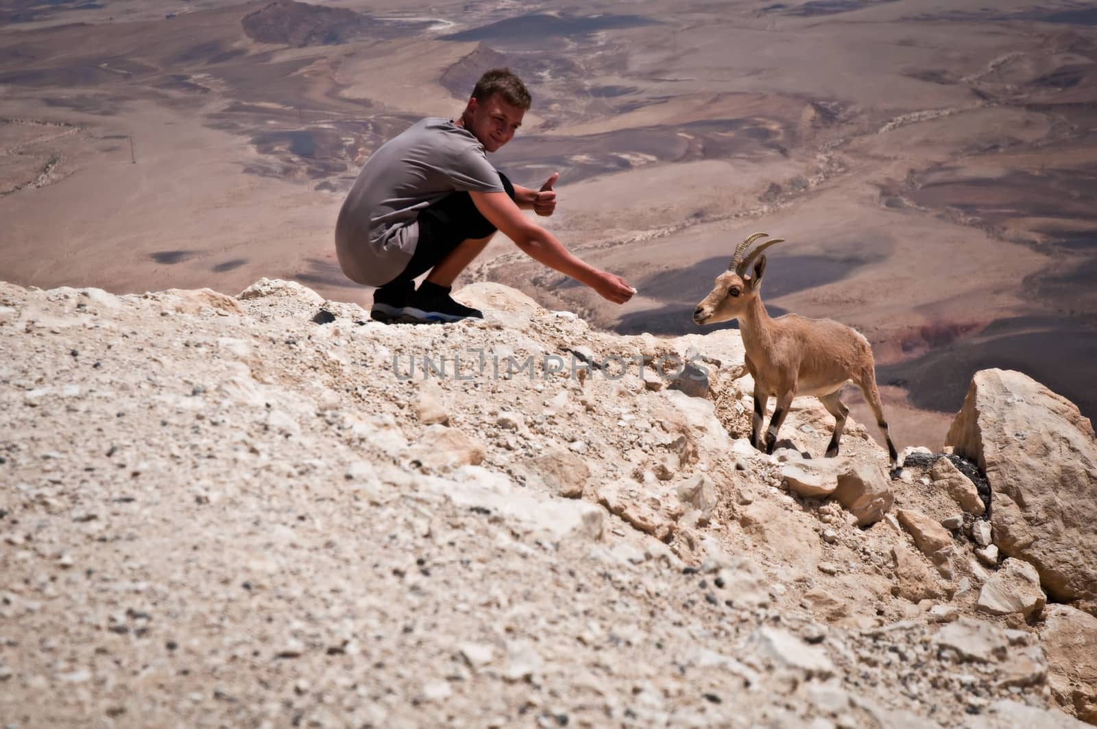 Mountain goat and teenager . by LarisaP