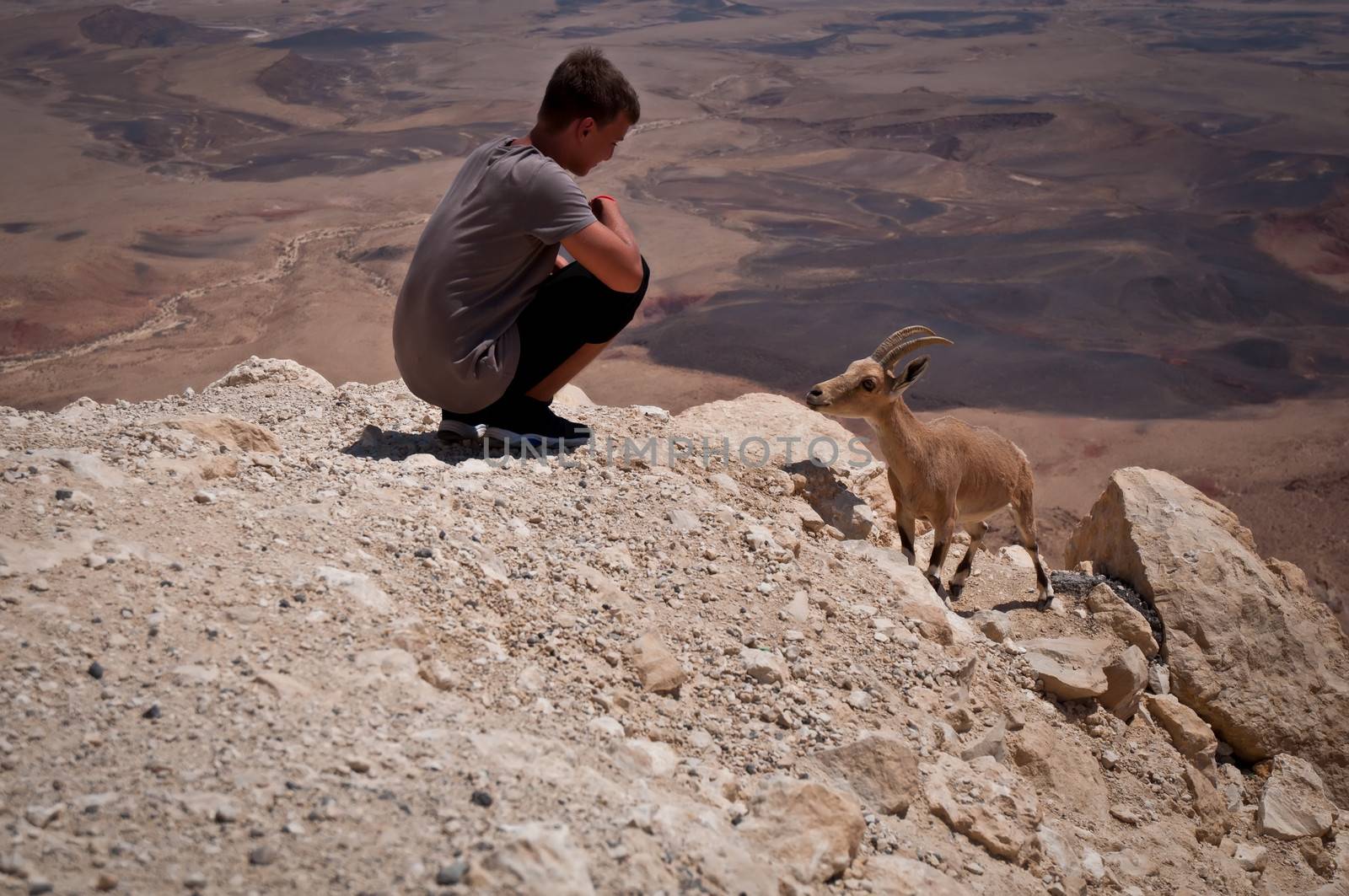 Mountain goat and teenager . by LarisaP