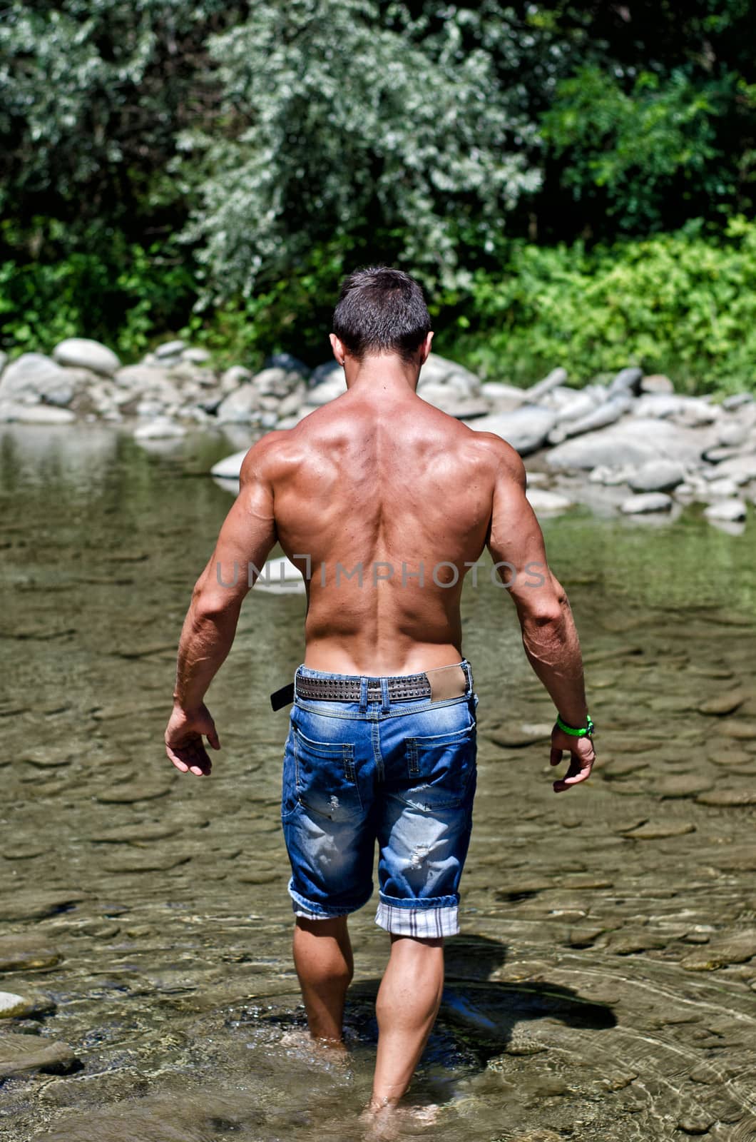 Handsome young muscle man walking in water pond, naked wearing only jeans, seen from the back