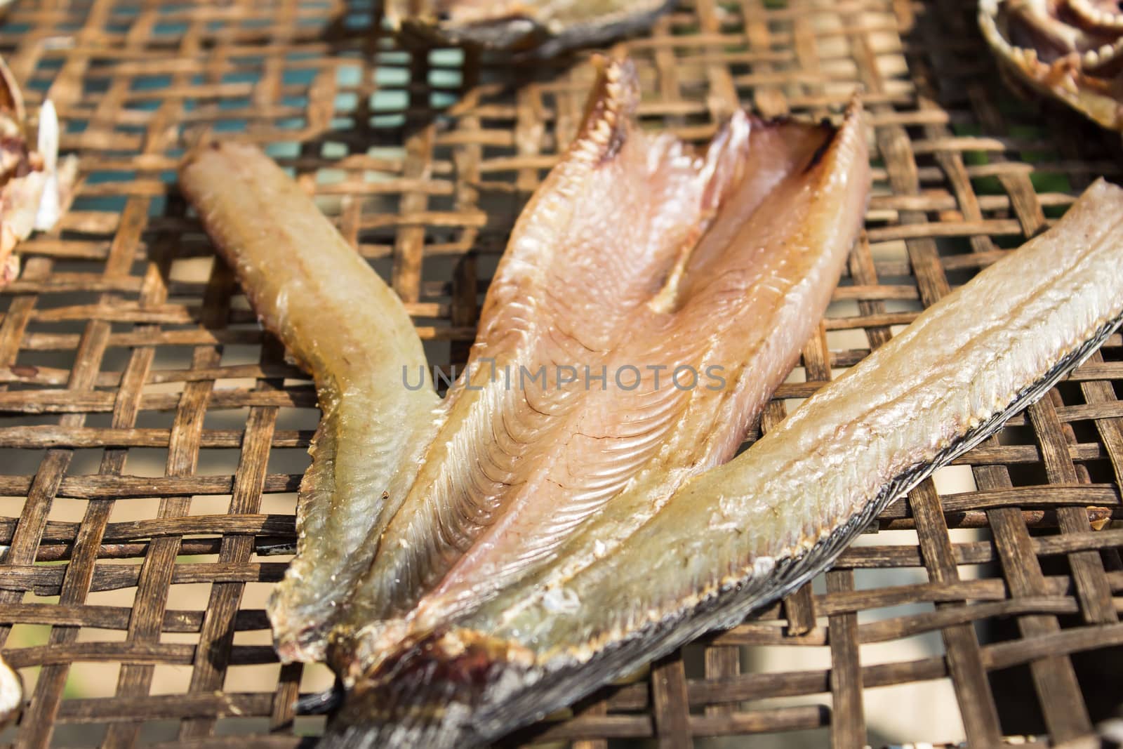 Sundried fish
 by photo2life