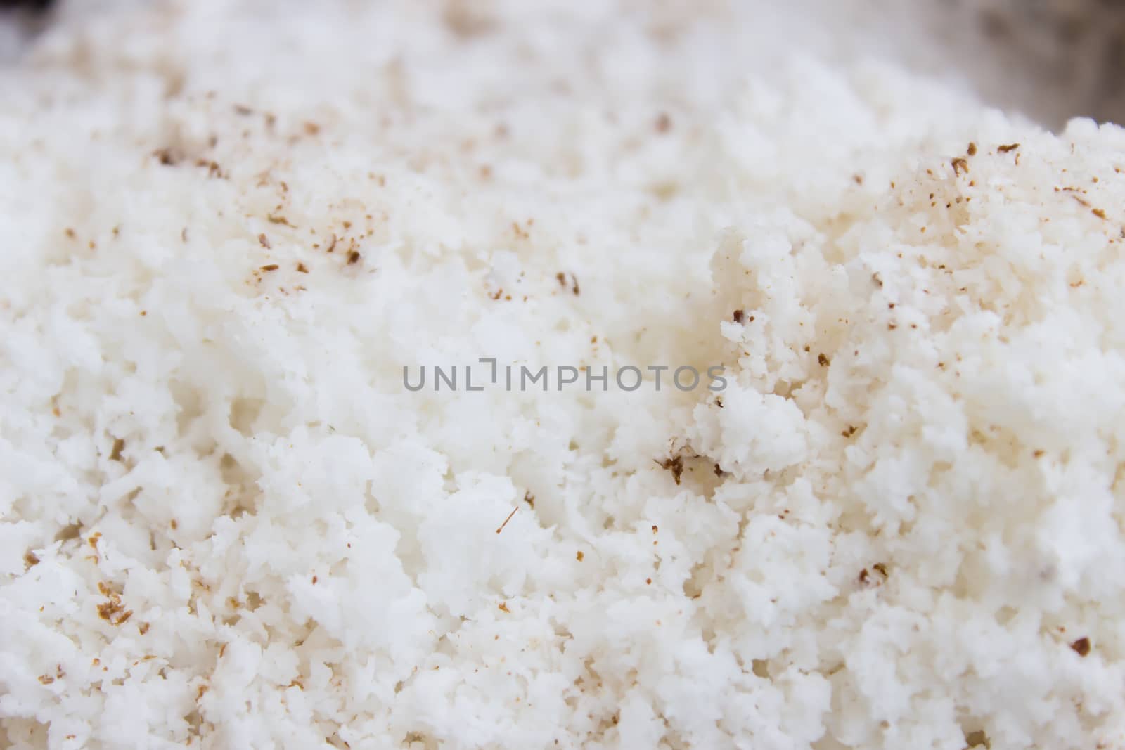 Coconut Flakes ; shredded coconut by photo2life