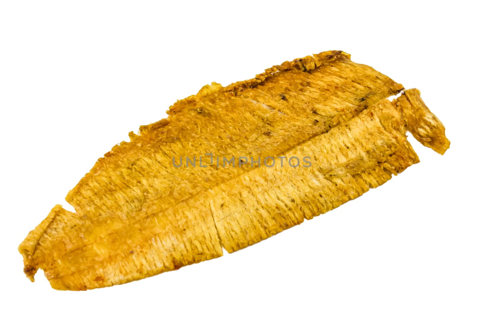 Dried and baked cuttlefish on white background by photo2life