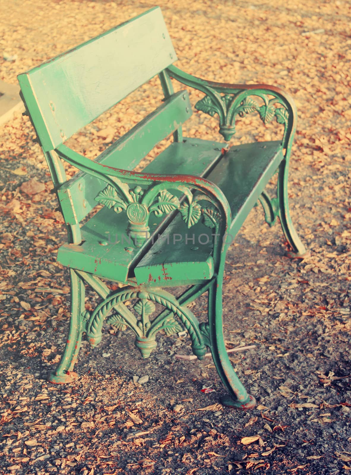 Bench in the park, autumn