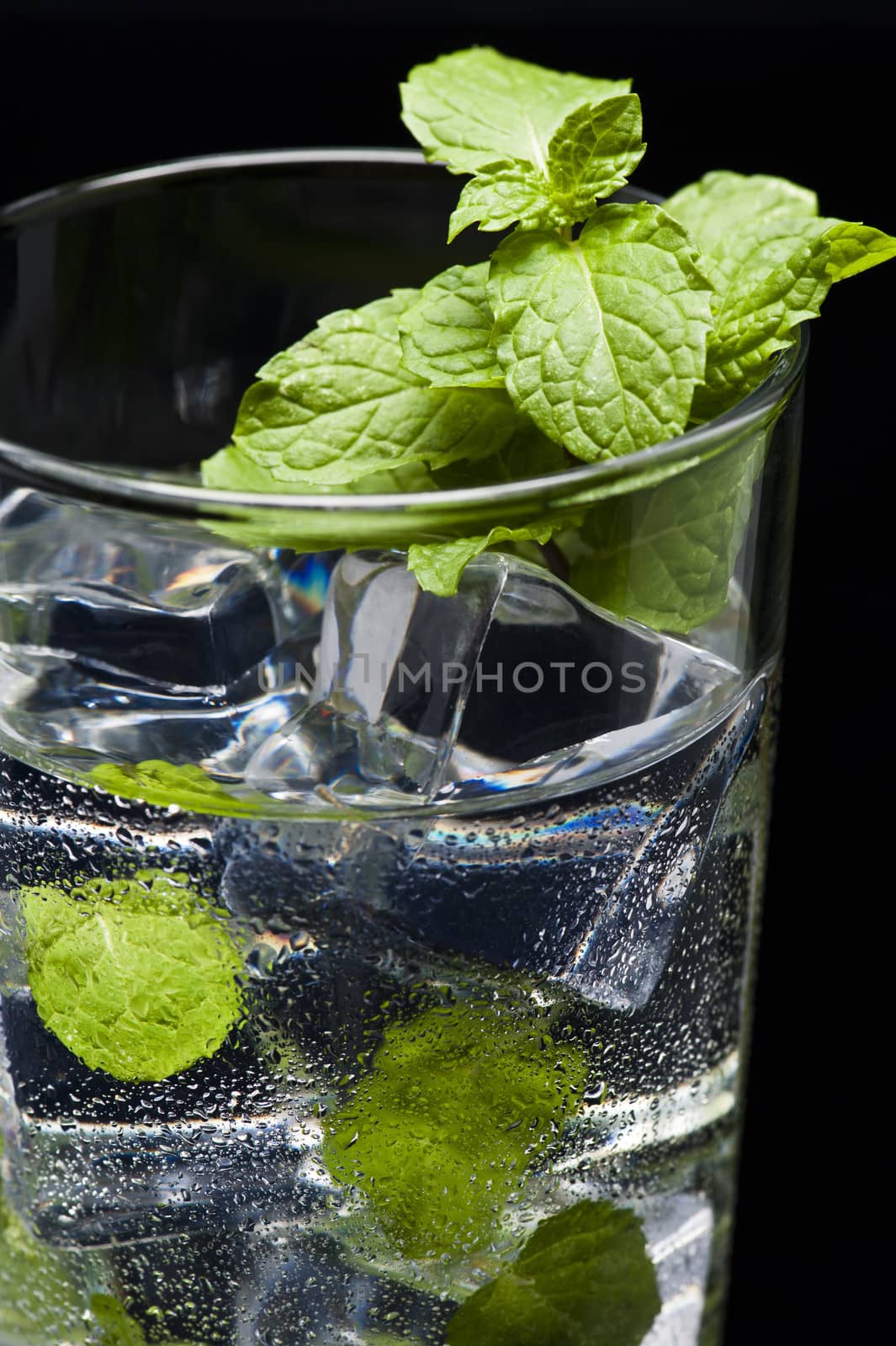 Green Mojito cocktail by 3523Studio