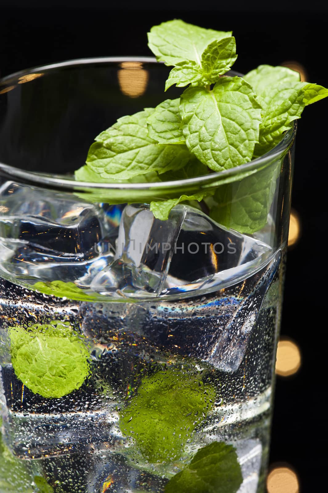 
Green Mojito cocktail with fresh mint leaves