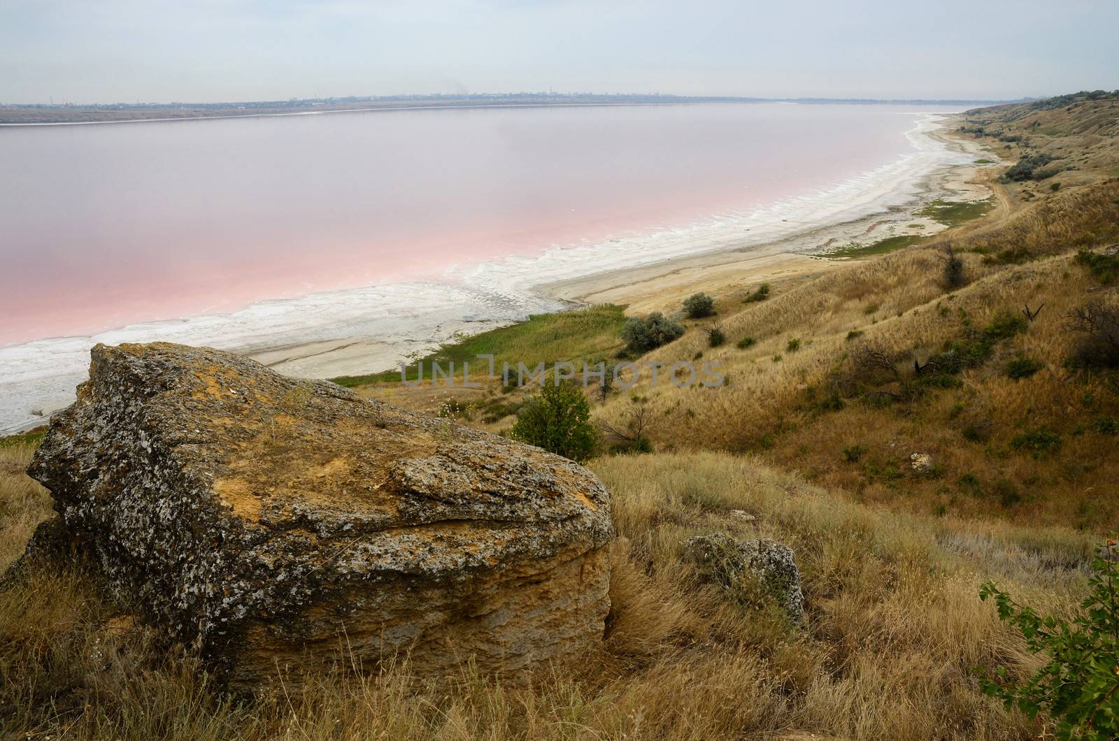Red water of salt Kuyalnicky liman,analog of Dead sea,Odessa,Ukraine