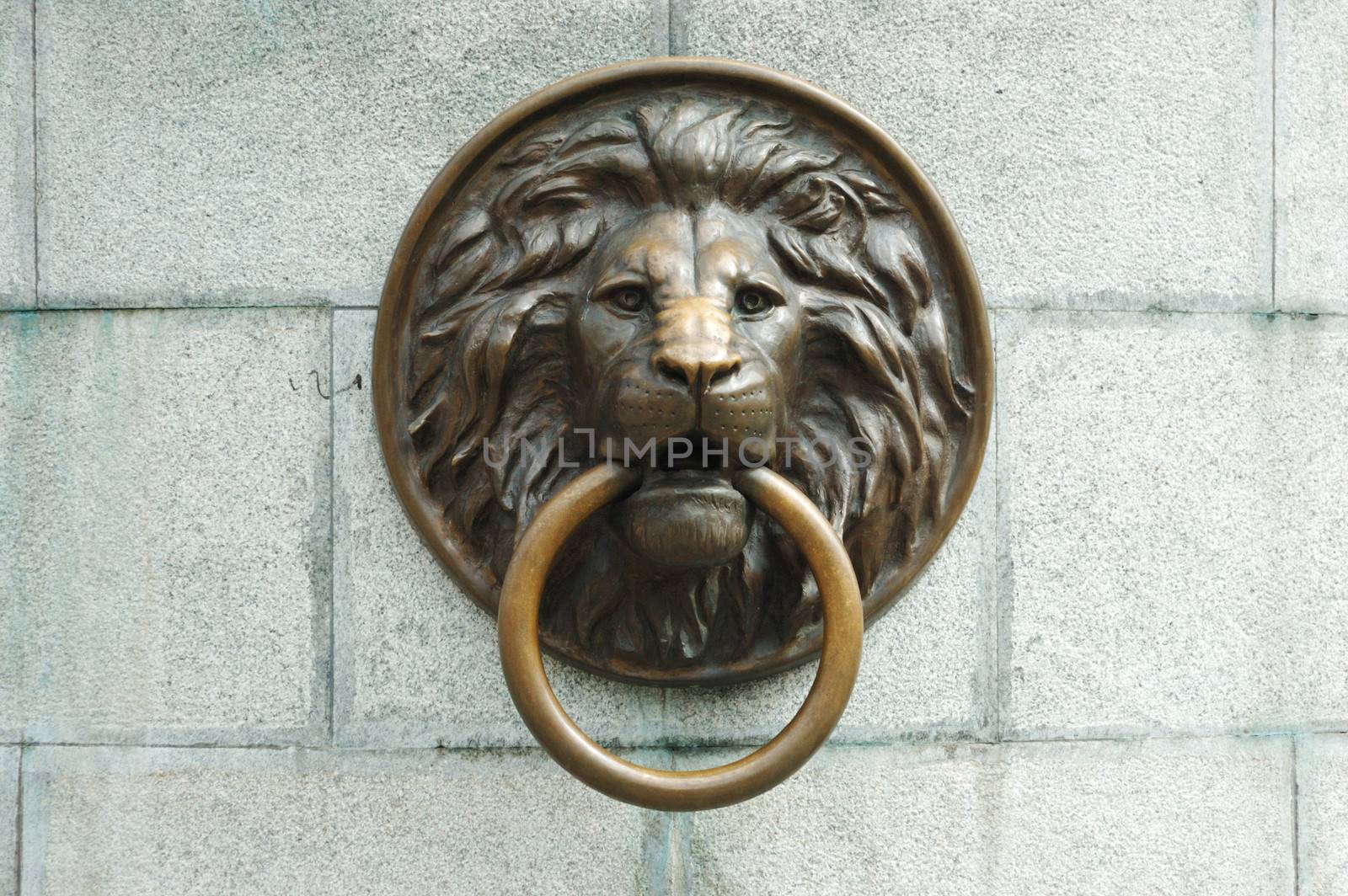 Lionhead oLd door knocker

