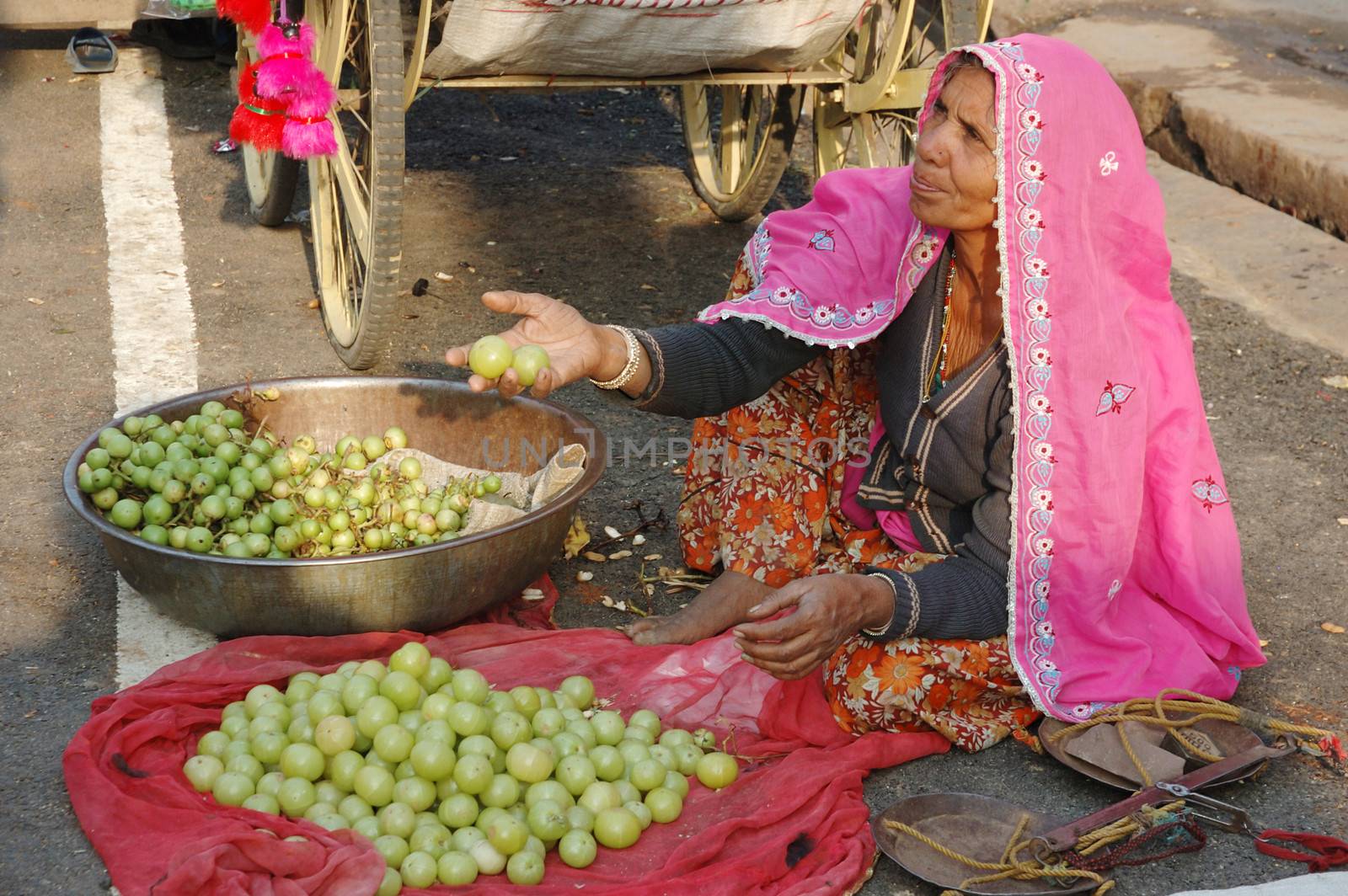 PUSHKAR, INDIA - NOVEMBER 22:Old rajasthani woman selling fruits at the market during  annual camel fair holiday in Pushkar on November 22,2012 in Pushkar,Rajasthan,India