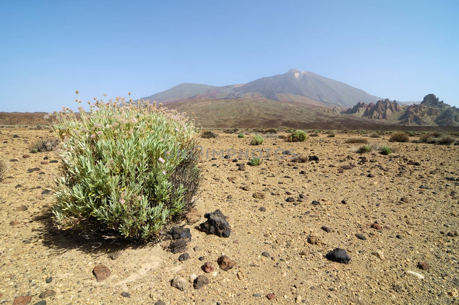 Sand and Rocks Desert on Teide Volcano, in Canary Islands, Spain