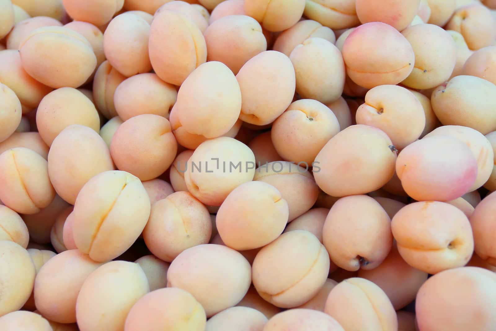 Image of the background yellow ripe apricots