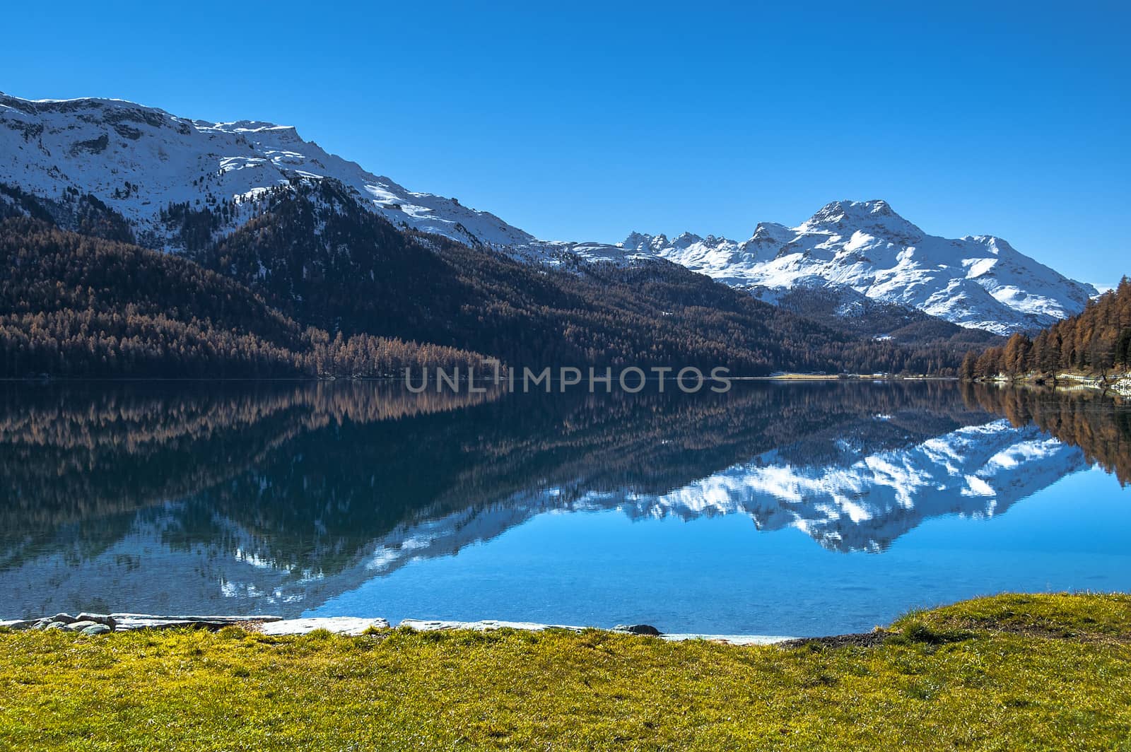 Autumn reflections on the lake Silvaplana, Switzerland