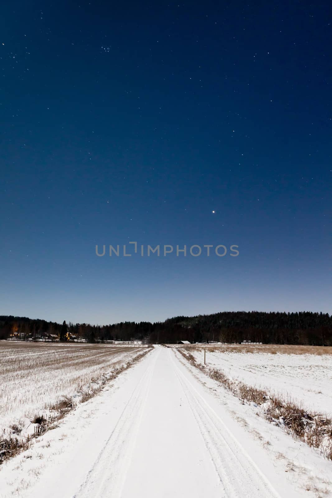 Long snowy road and clear starry sky in moon light