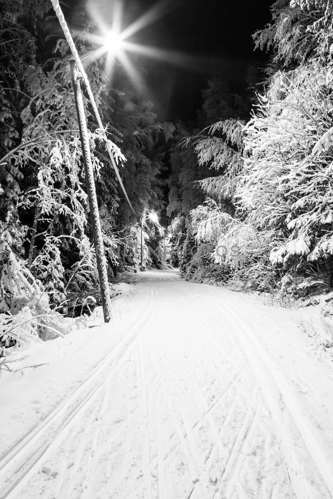 Black and white photo of a ski track at night by juhku