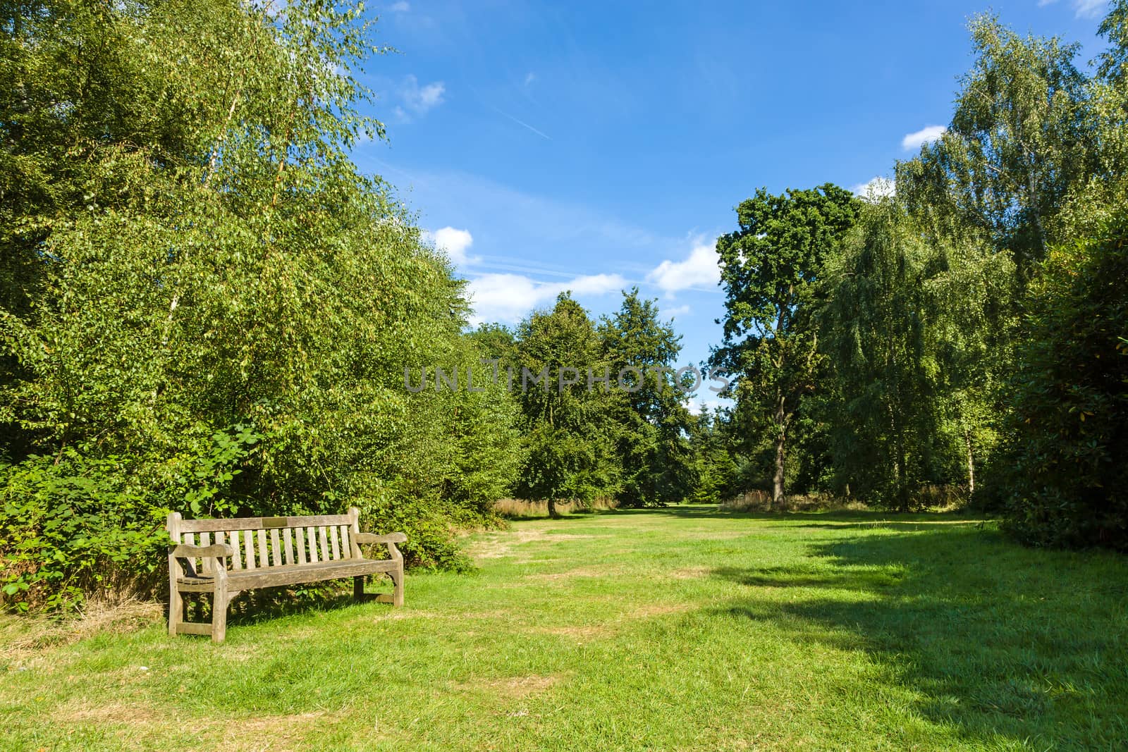 Park Bench in Beautiful Lush Green Garden by scheriton