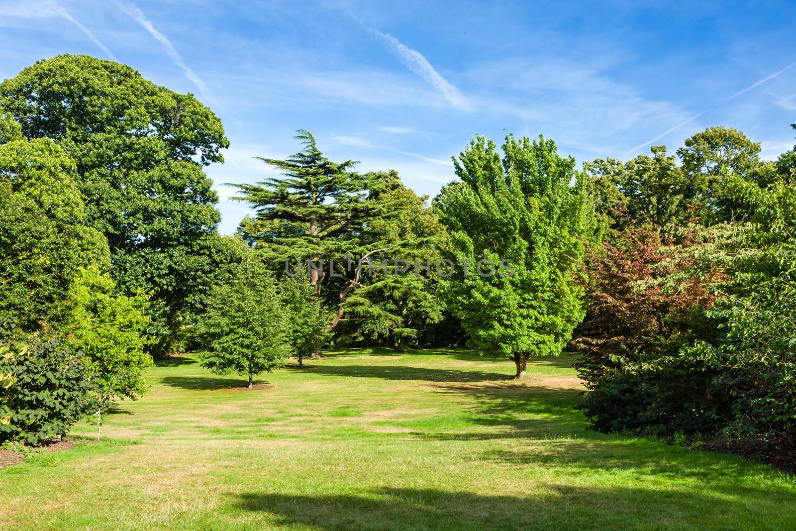 Lush Green Beautiful Woodland Park Garden by scheriton