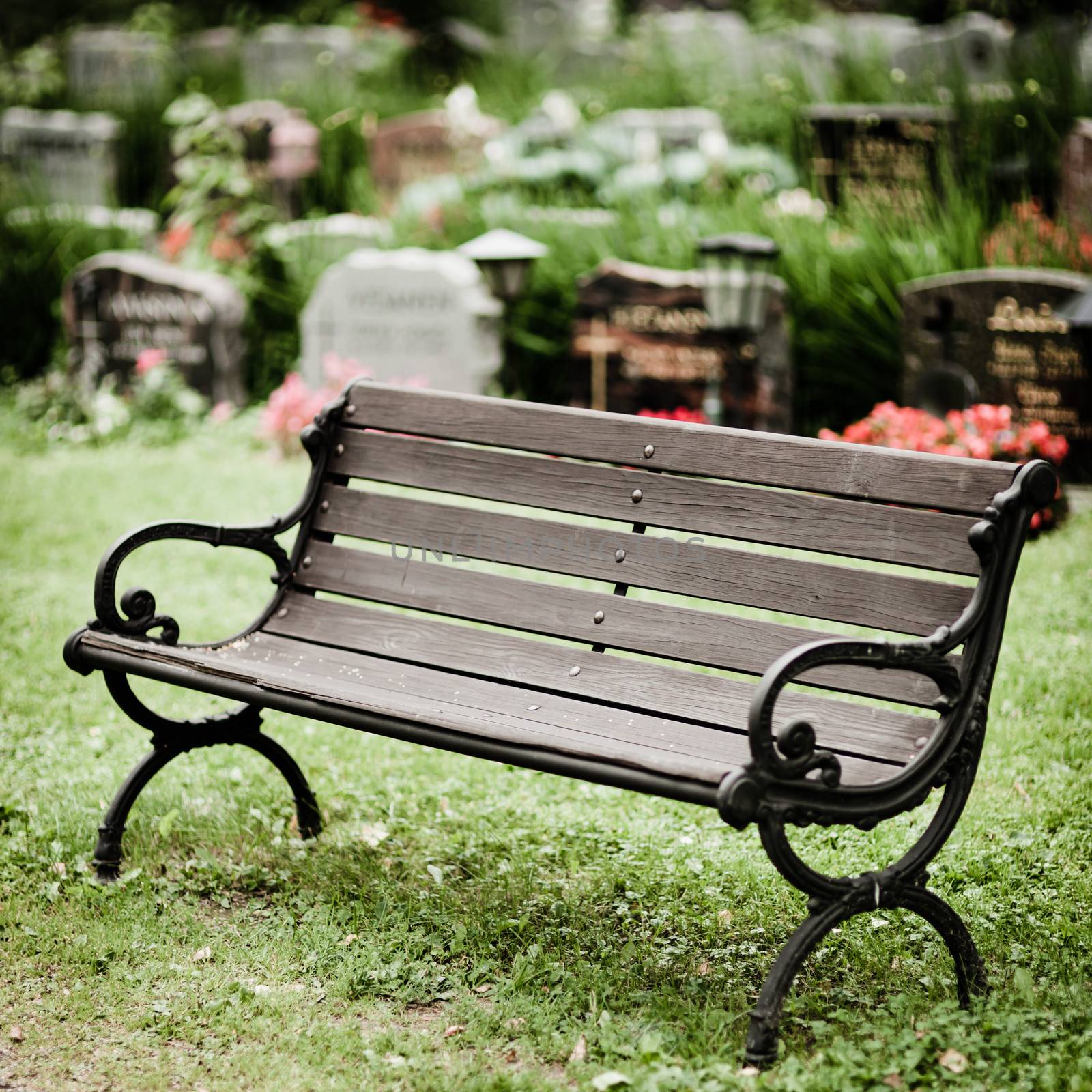 Empty old wooden bench in cemetery by juhku