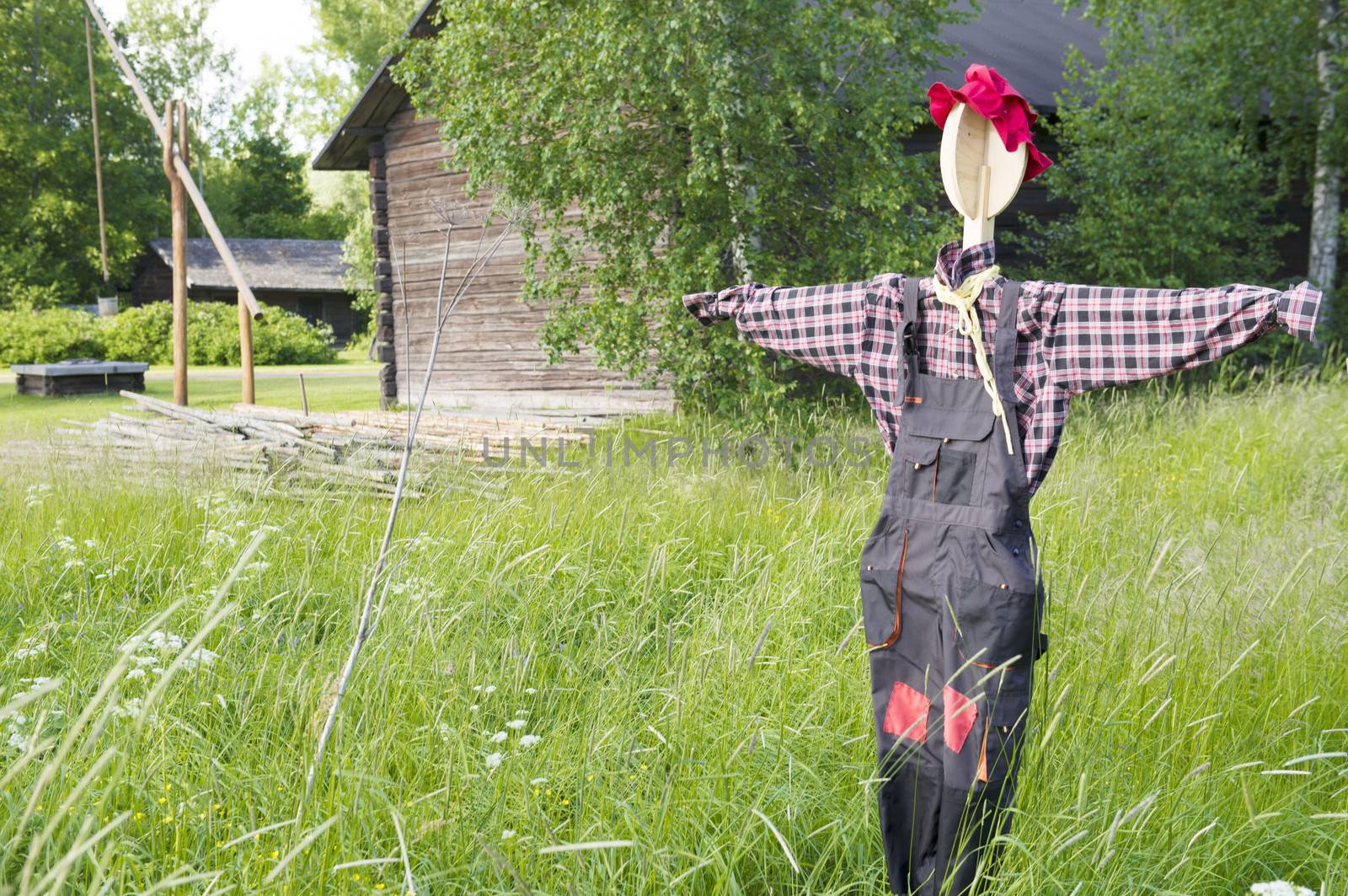 Scarecrow by Alenmax
