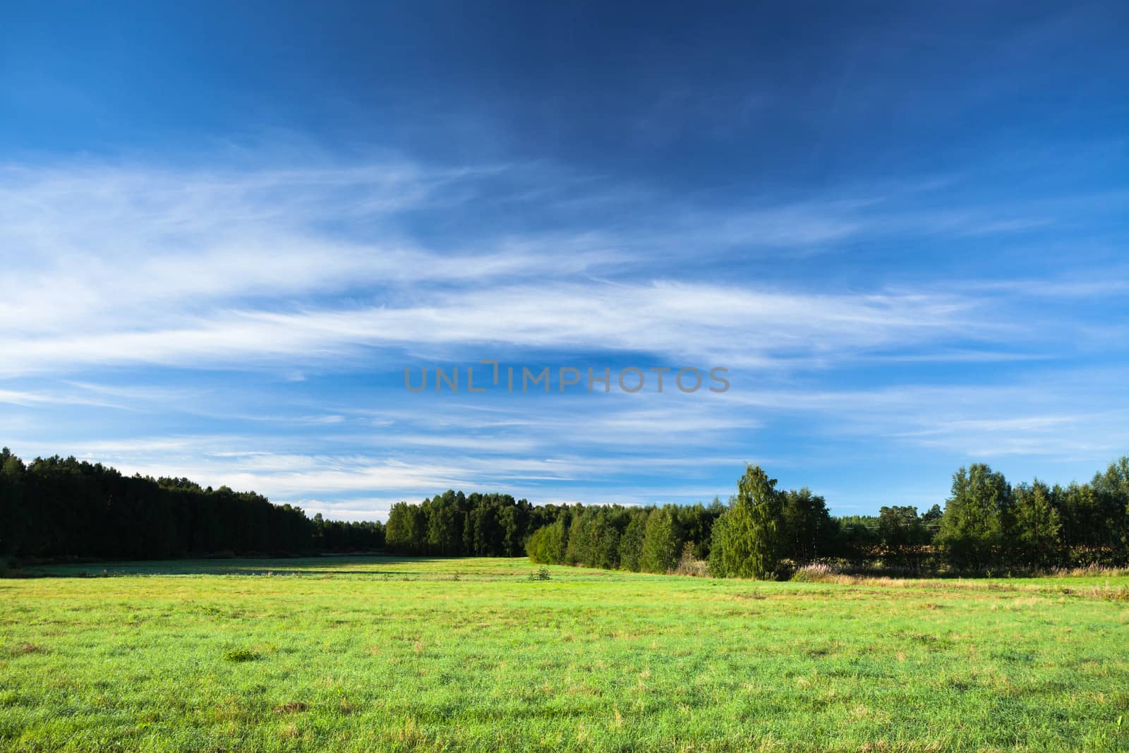 tranquil landscape photo of meadow at sunrise by juhku