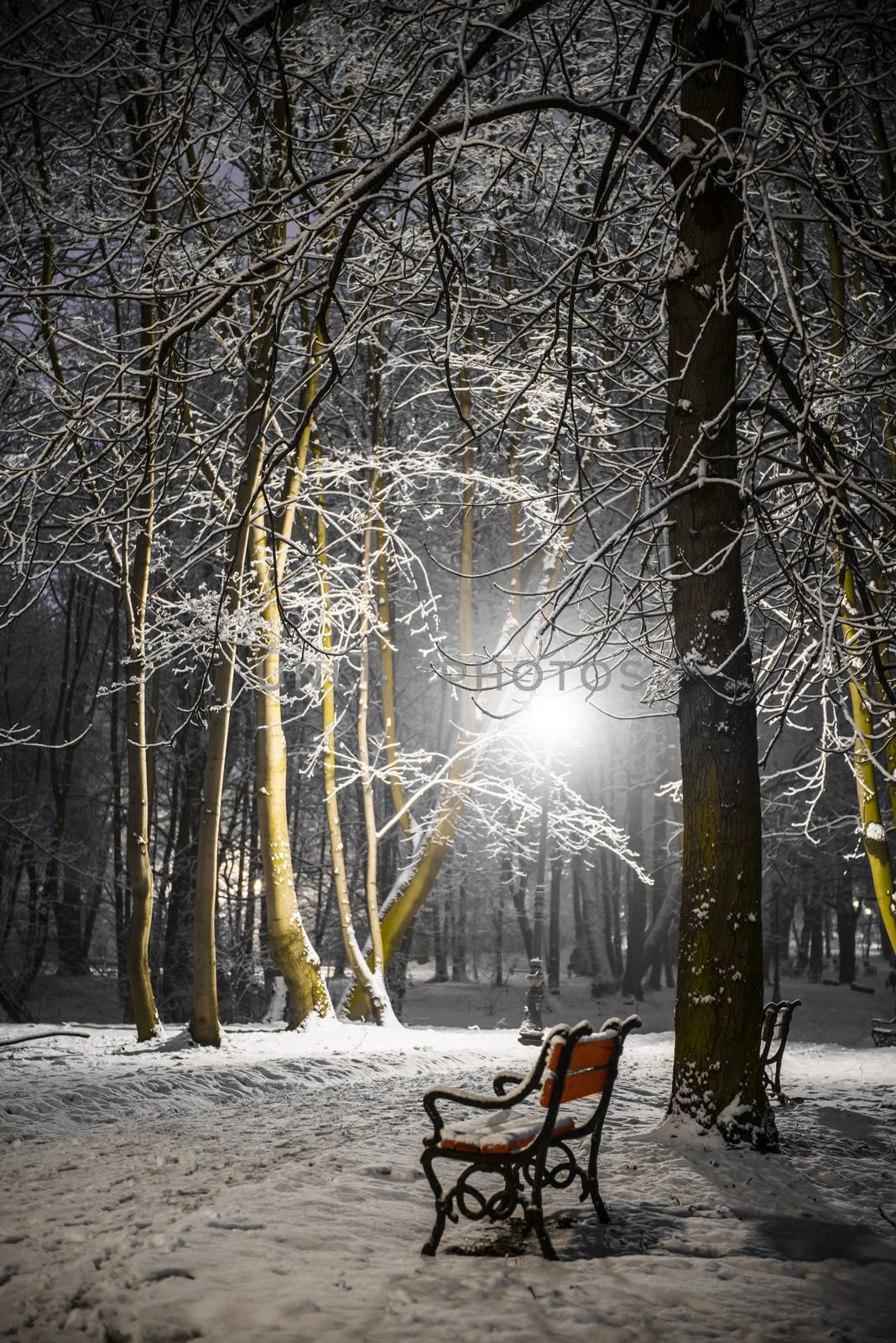 Red bench in the park covered with snow at night