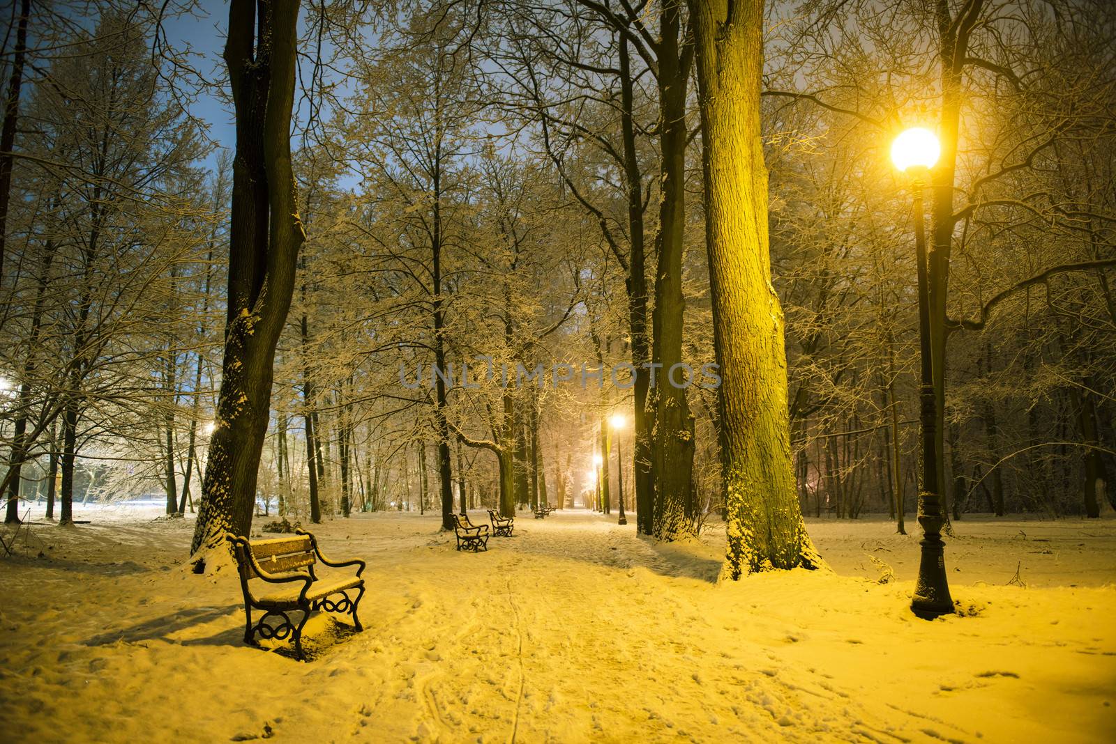 Red bench in the park covered with snow at night