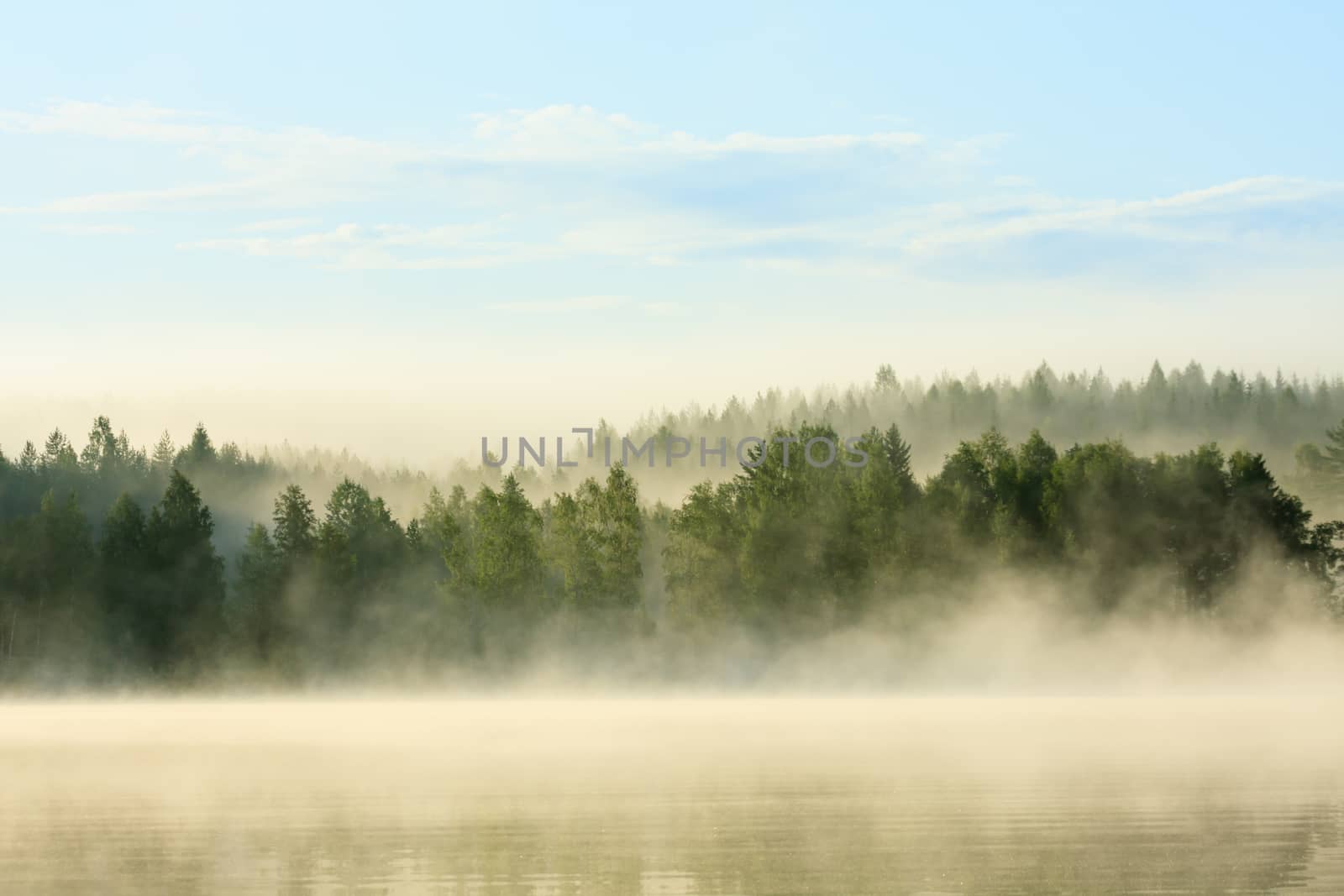 foggy forest and lake at dawn by juhku
