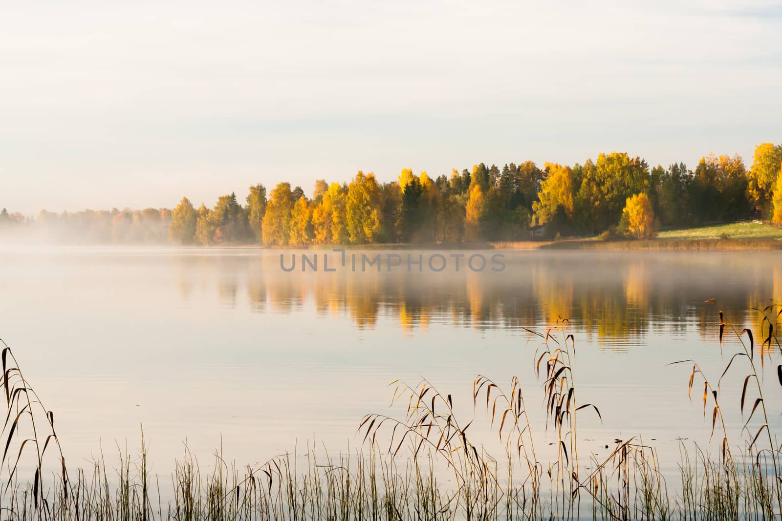 Serene autumn waterscape