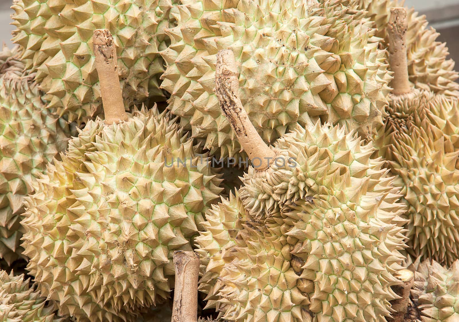 pile of durian on the wall for sale in local market in thailand