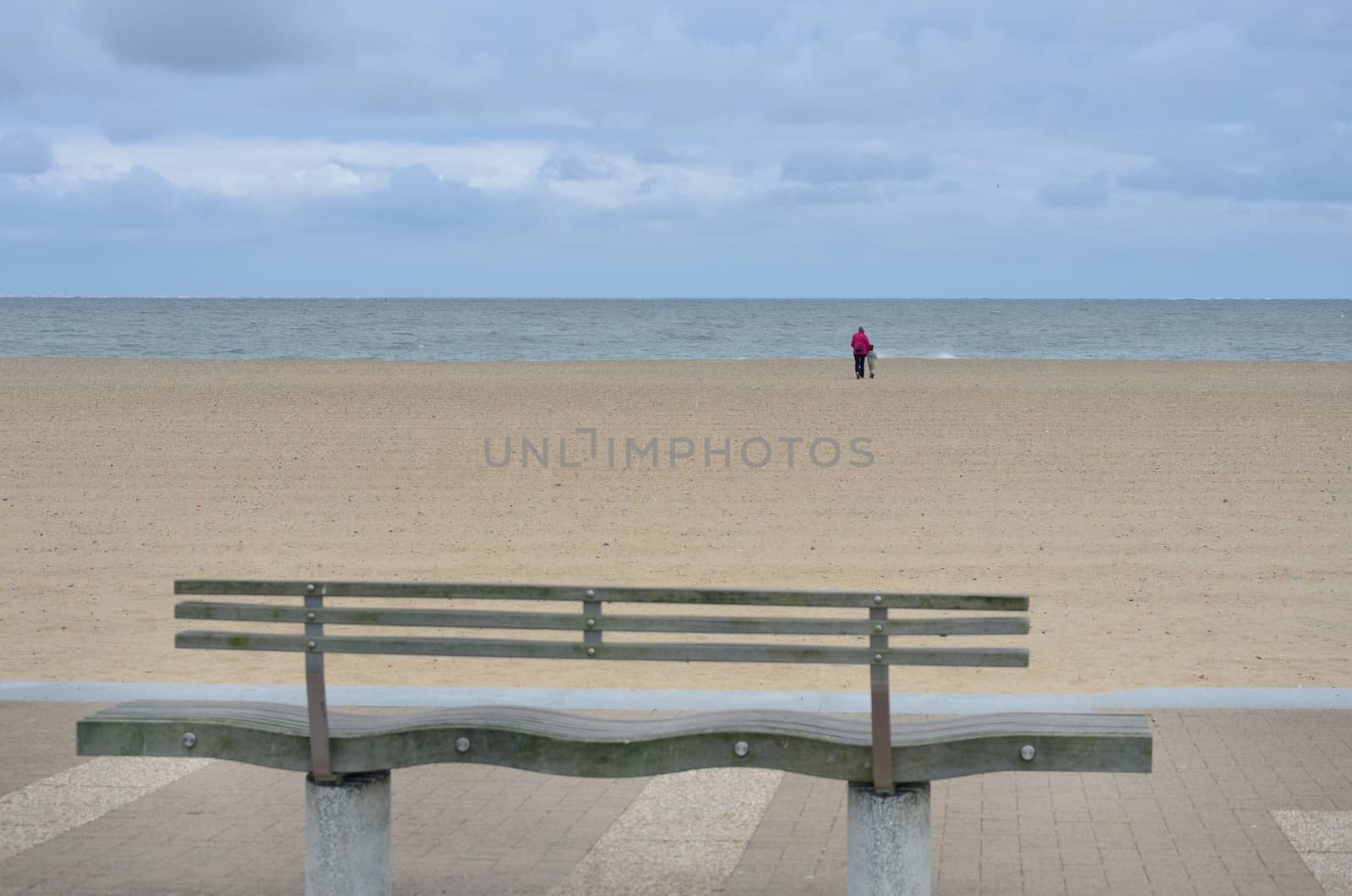empty bench overlooking beach