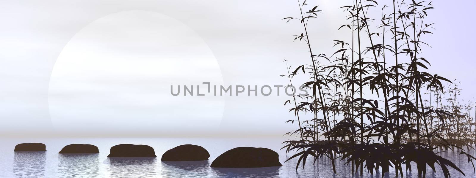 Bamboos next to stones leading towards the sun in black and white background