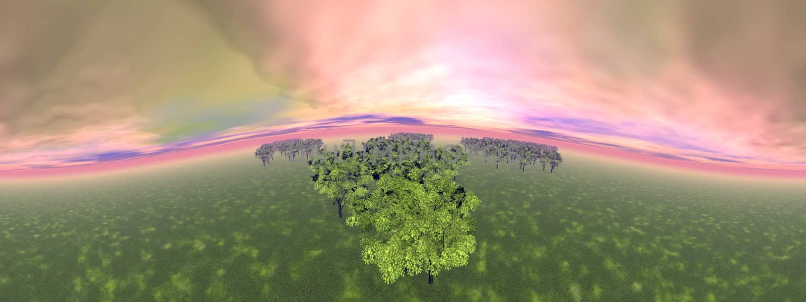 Green forests and grass by sunset, 360 degrees effect