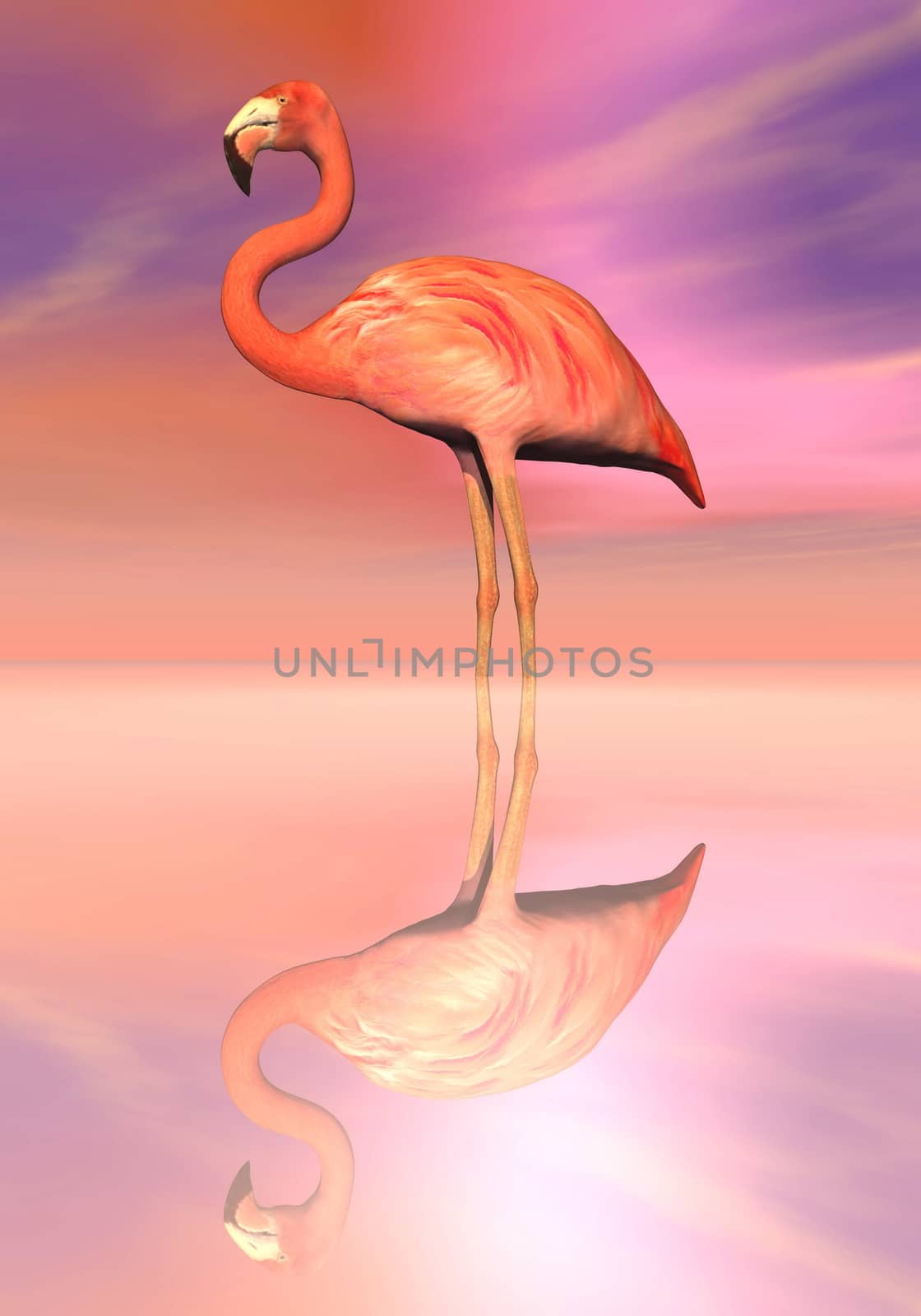 One flamingos standing peacefully in the water by colorful sunset