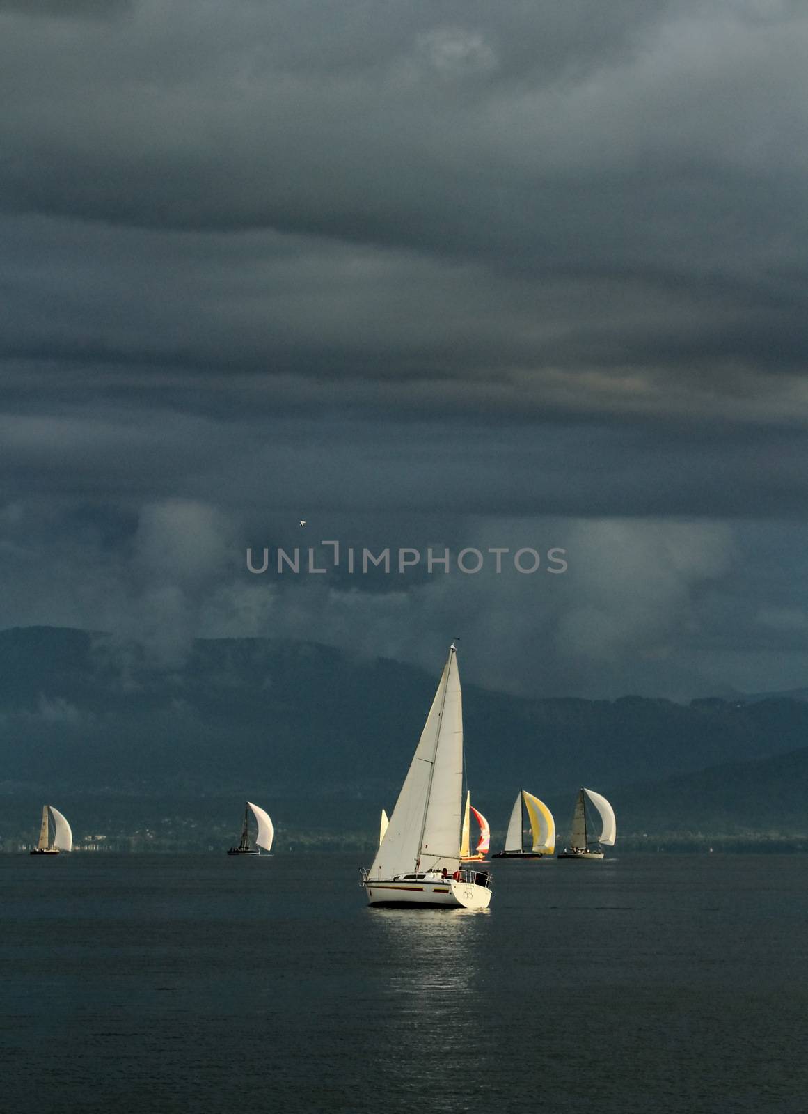 Colorful sailboat sailing on a calm evening with dramatic sunset, Geneva lake, Switzerland