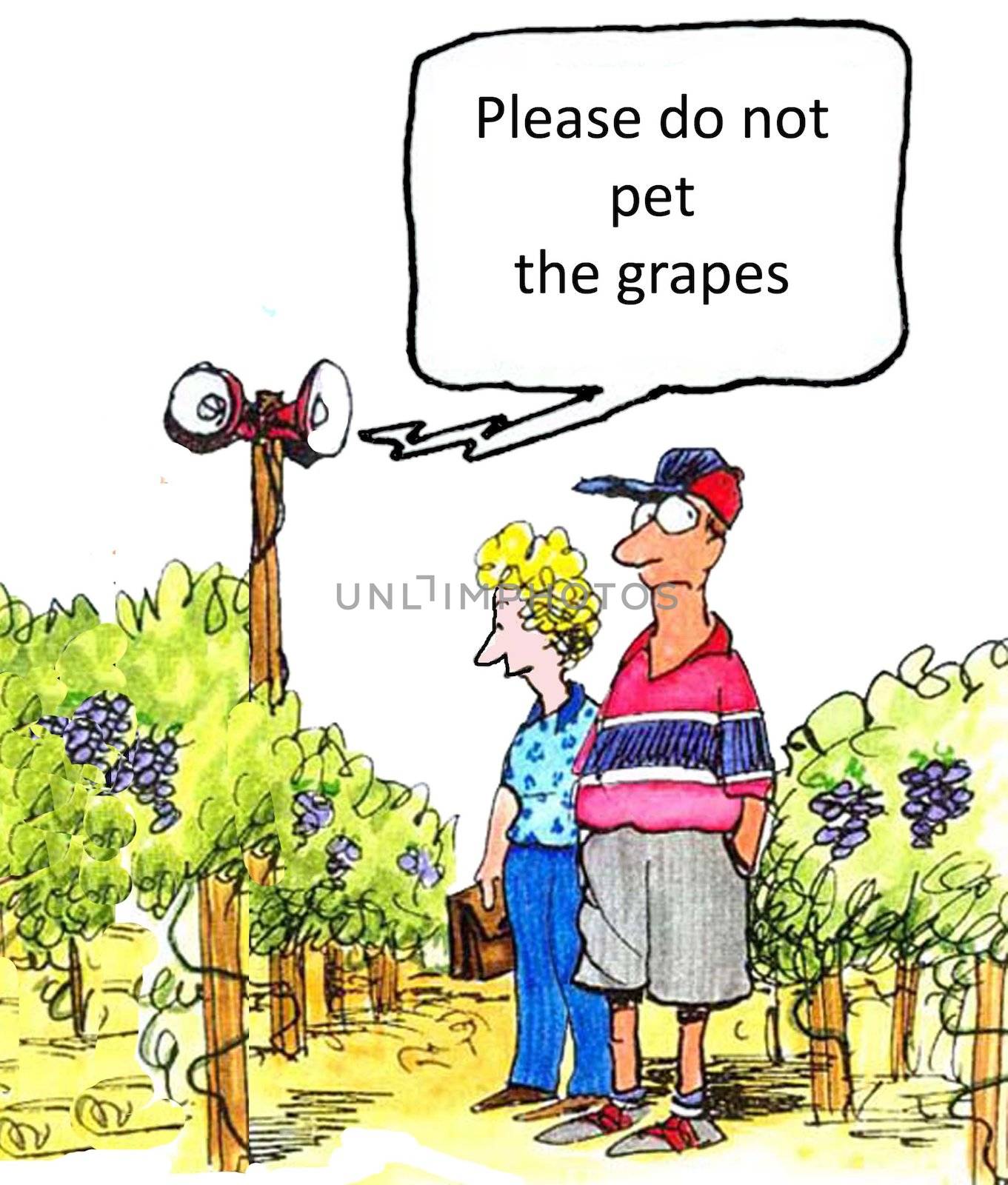 Vineyard Instructions by andrewgenn
