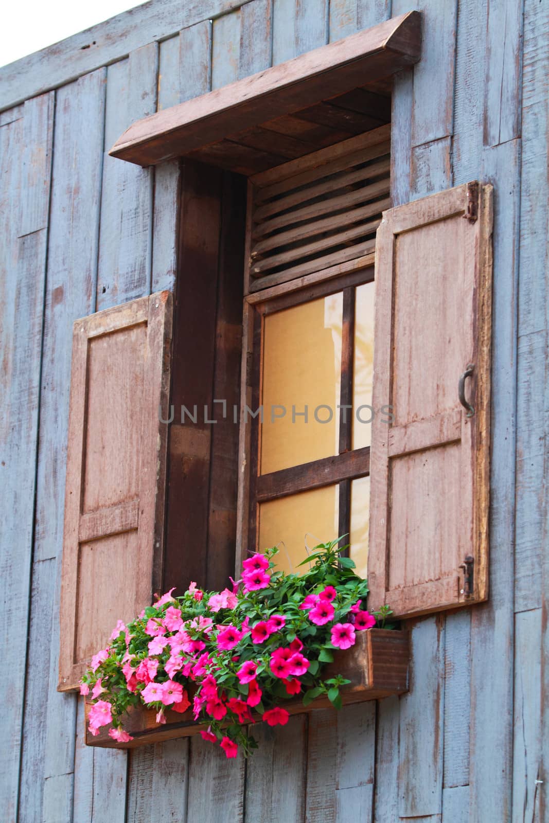 House with window and flower