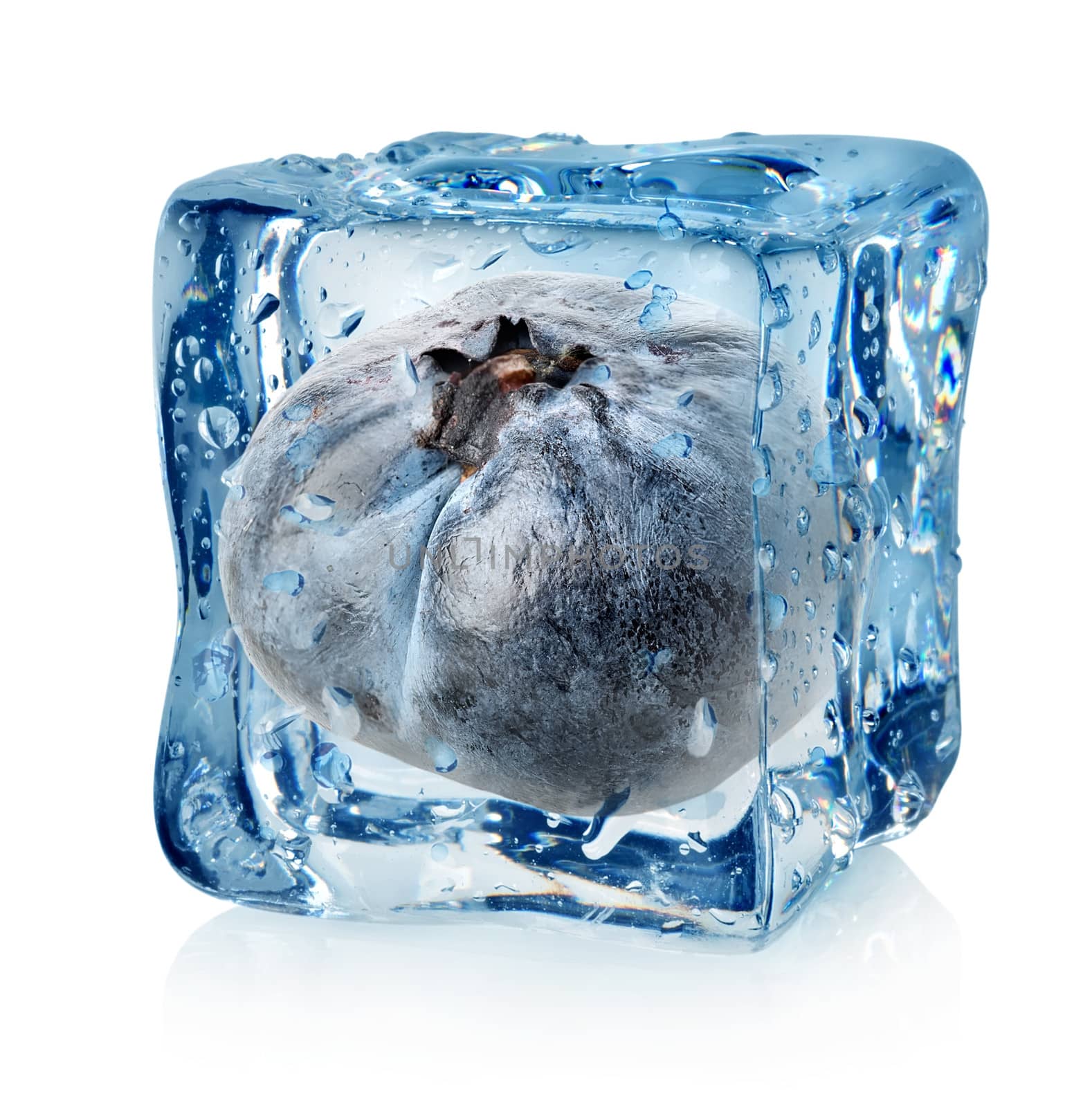 Blueberry in ice cube isolated on a white background